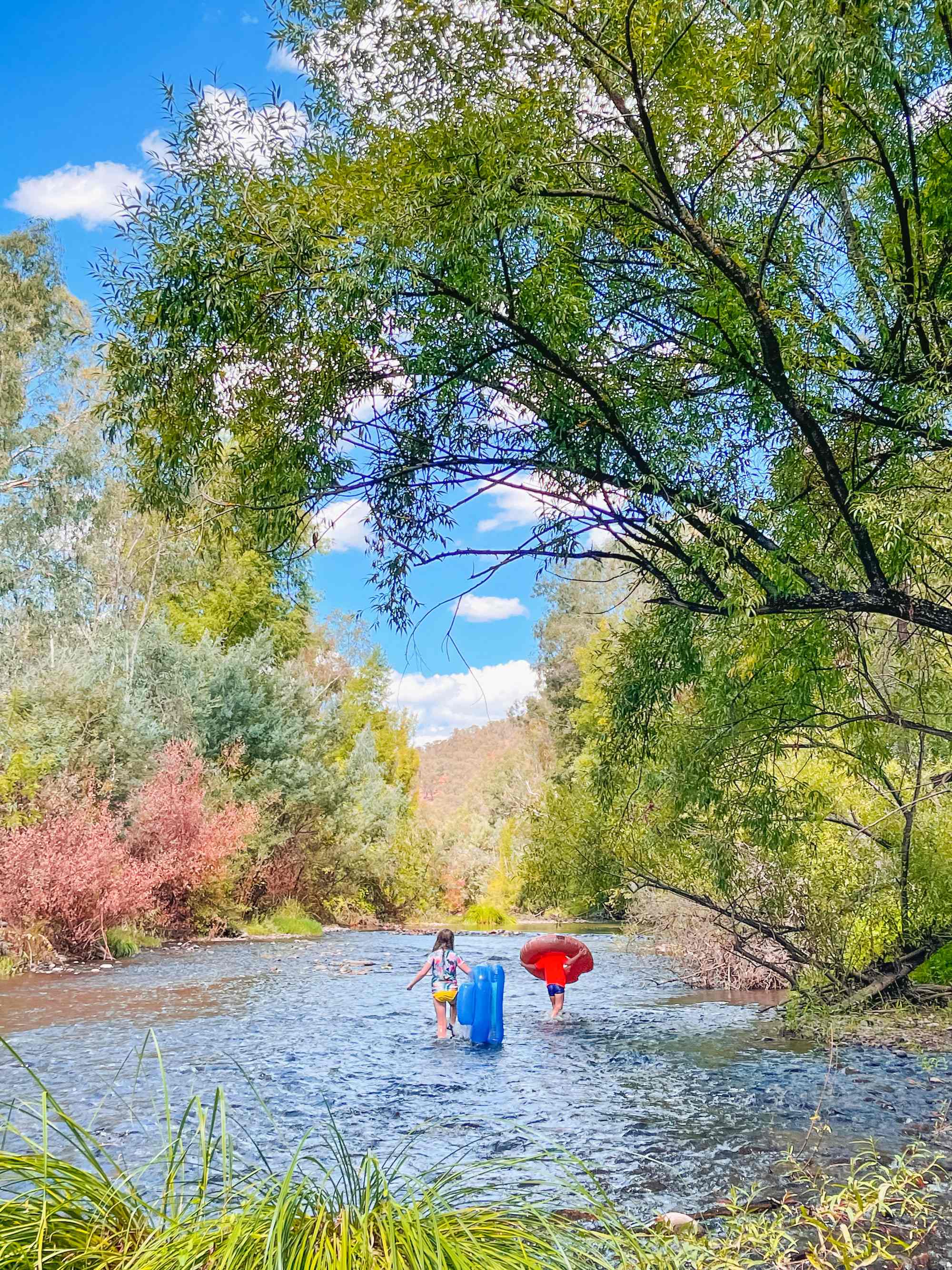 Riverside King Valley