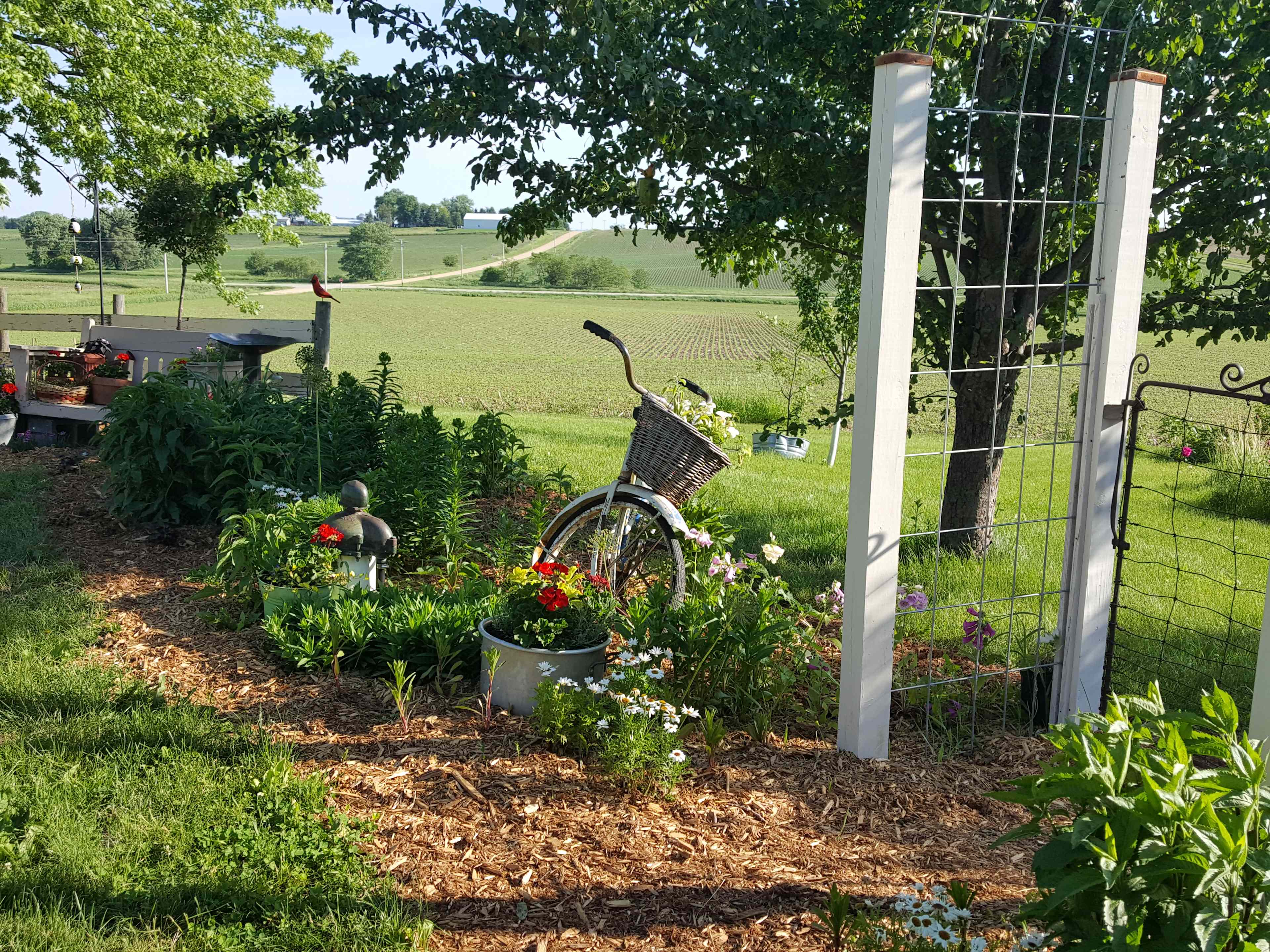 Miss Effie's Country Flowers