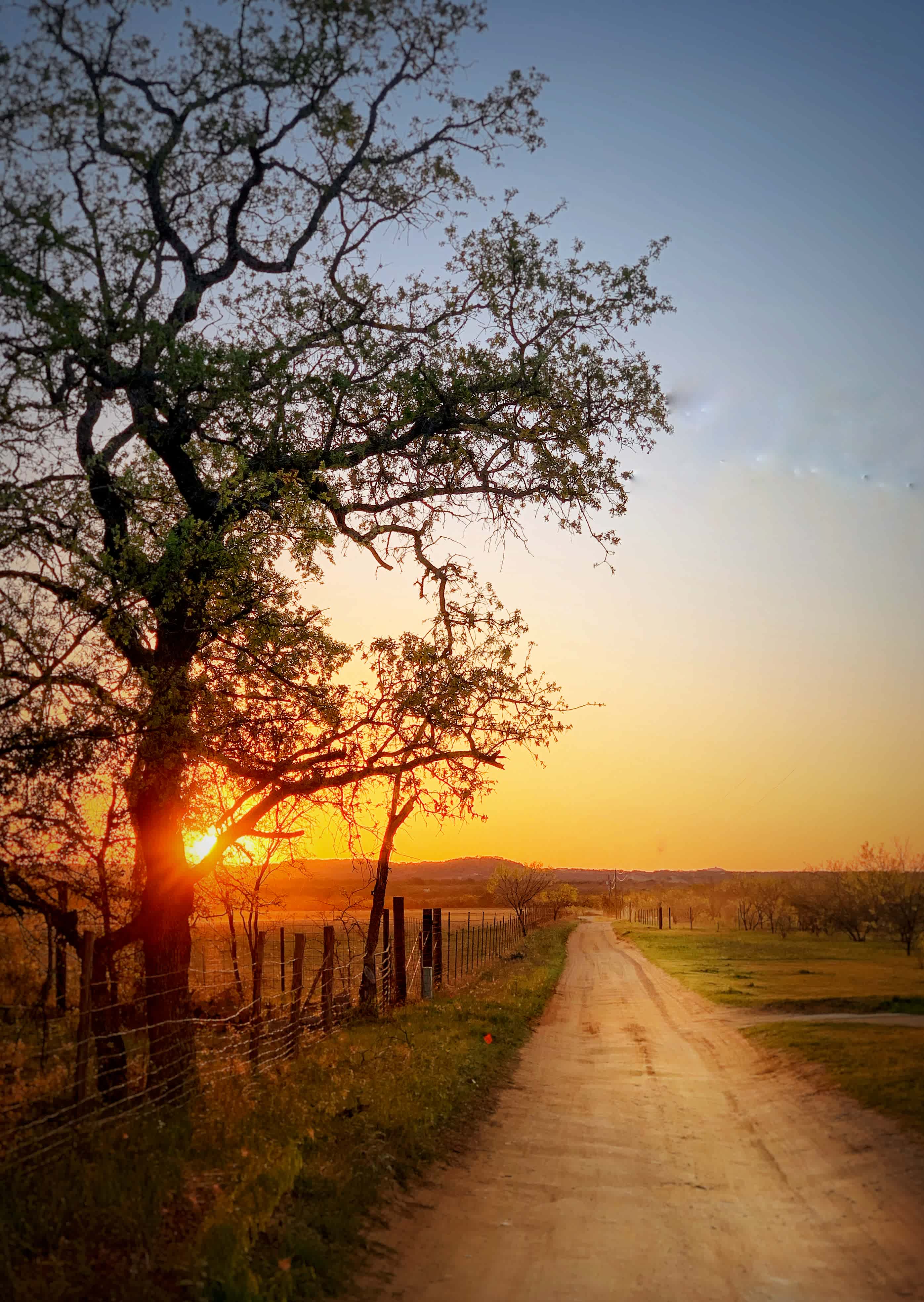 My early morning walk on the road just outside of Angela’s property 