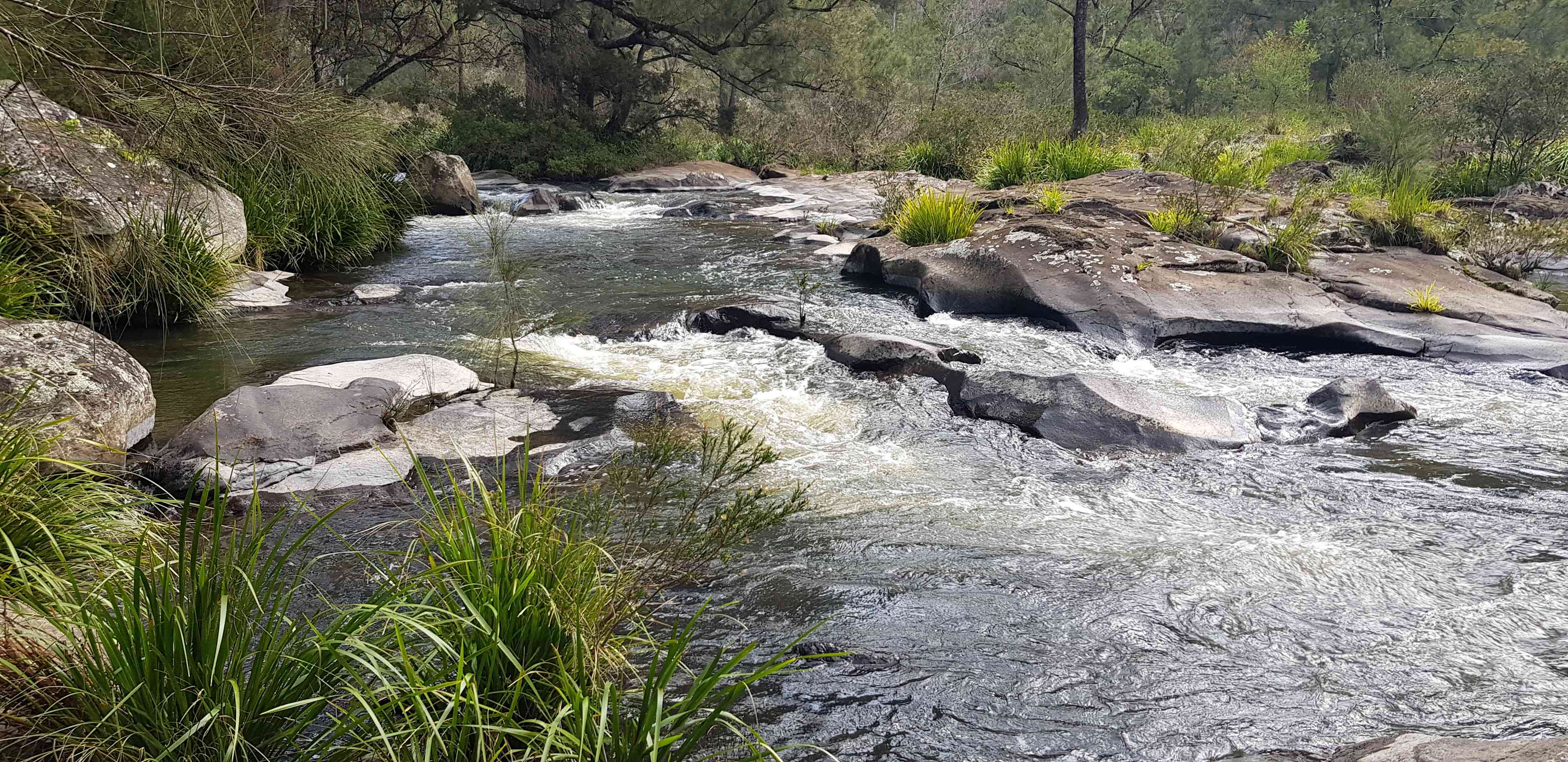 Blicks River Camping