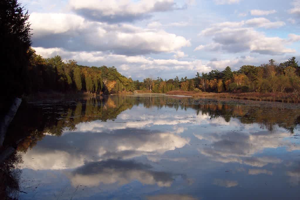 Pinery Provincial Park