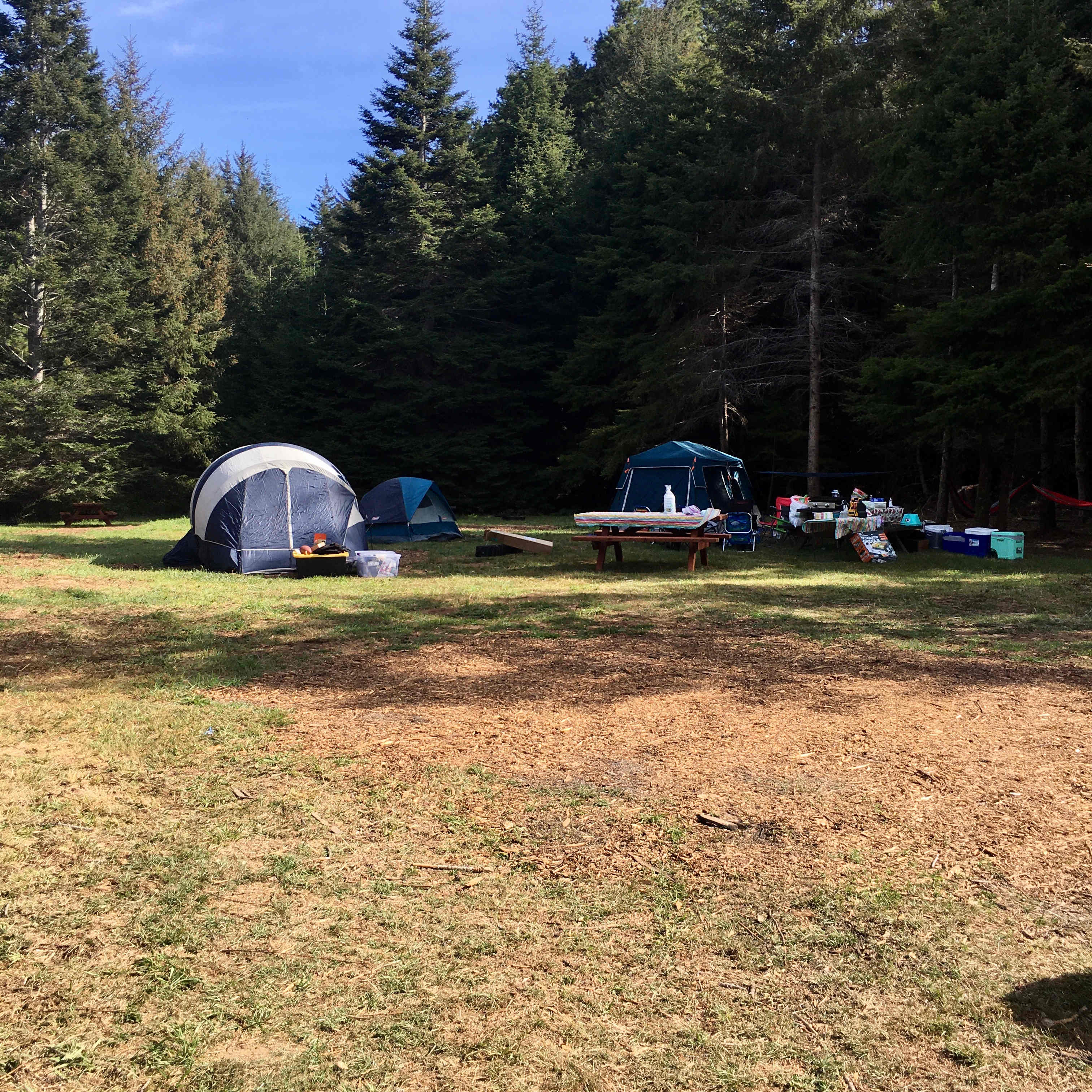Group site in the Meadow