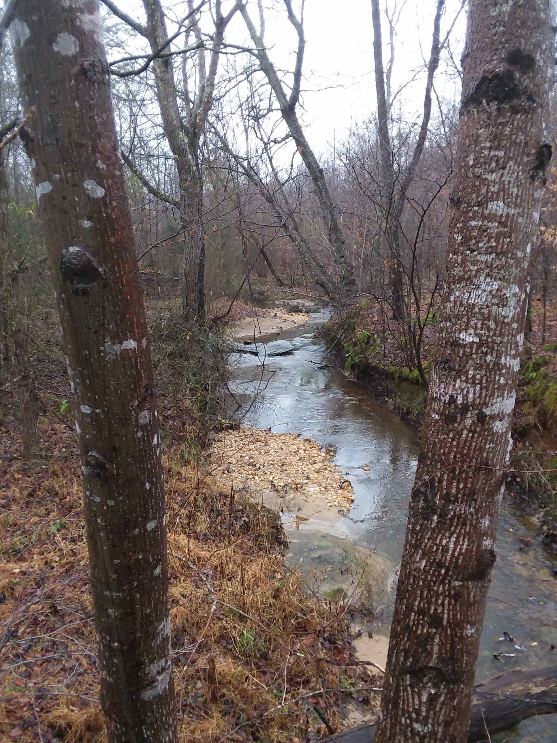 Take a walk by the creek. 