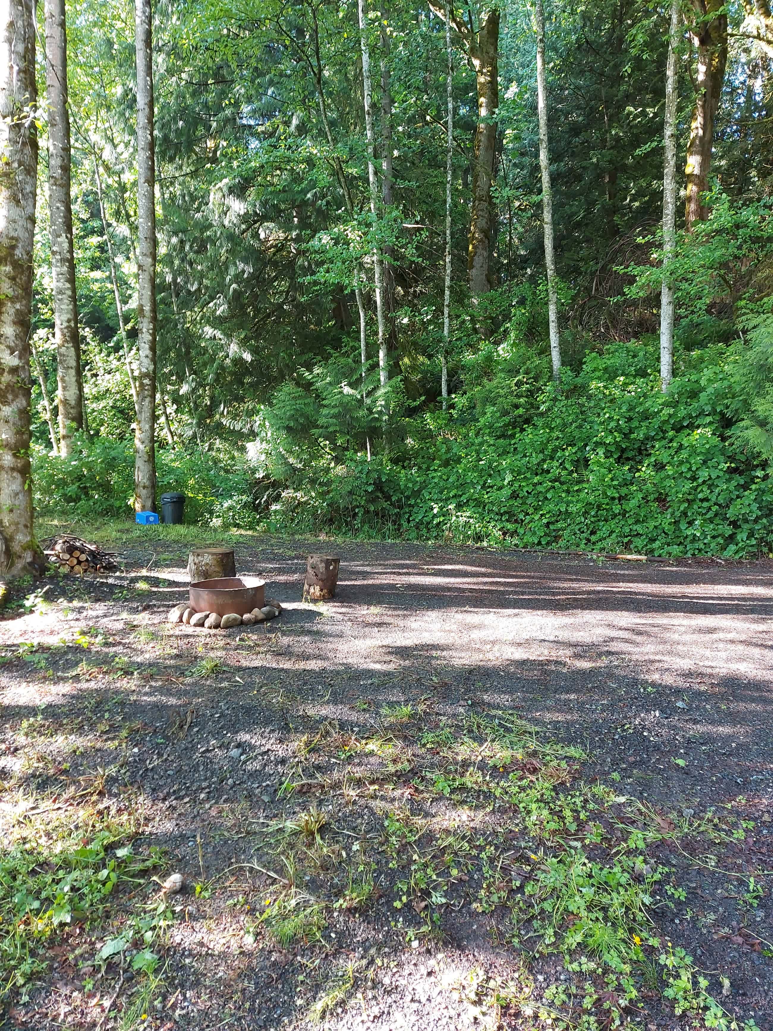 Site 3 - Does now have a picnic table and composting toilet hut. 