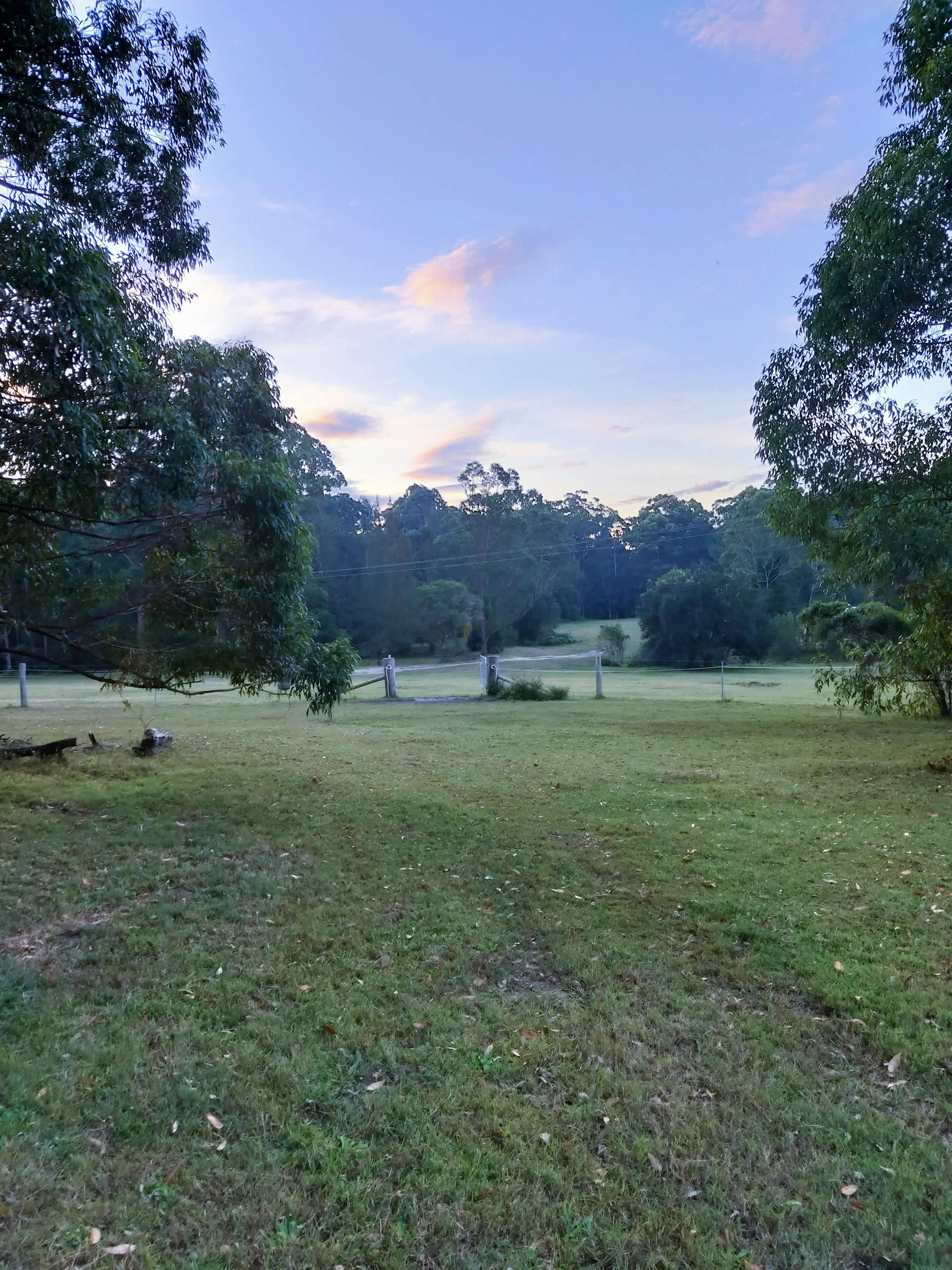 Bunyip's Camp