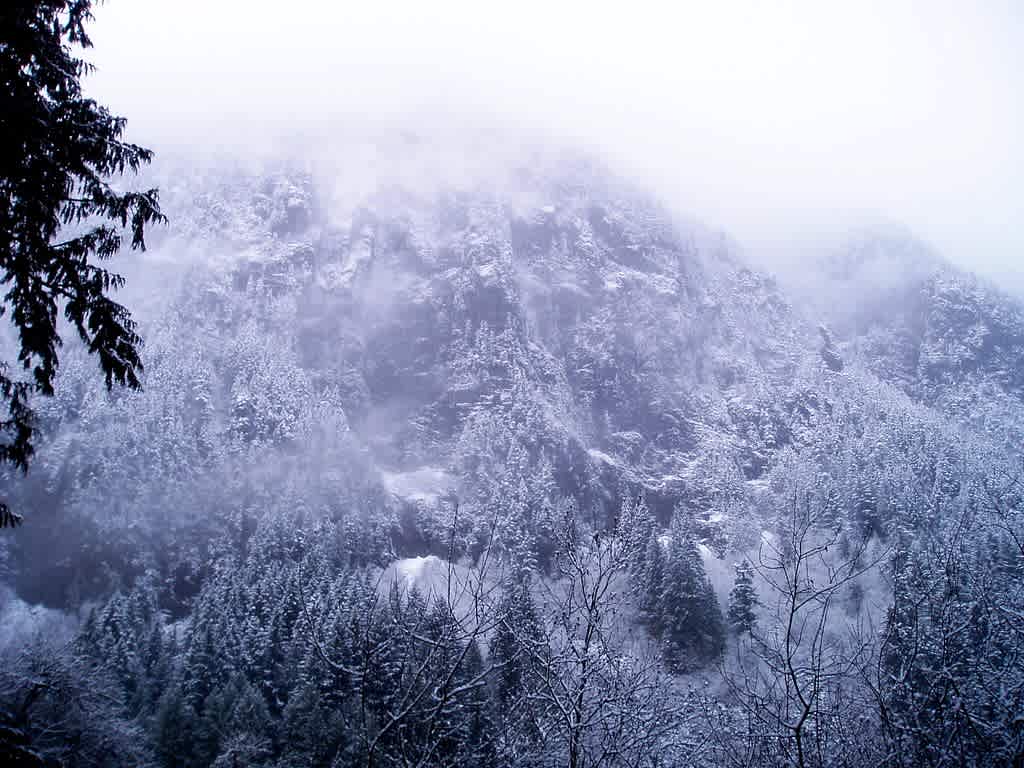 Skagit Valley Provincial Park