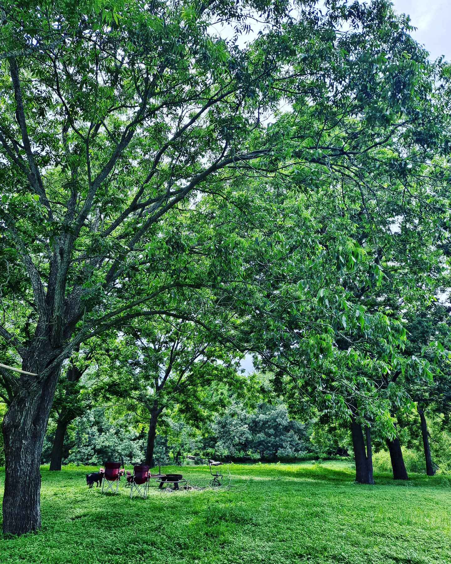 River Grove Campground