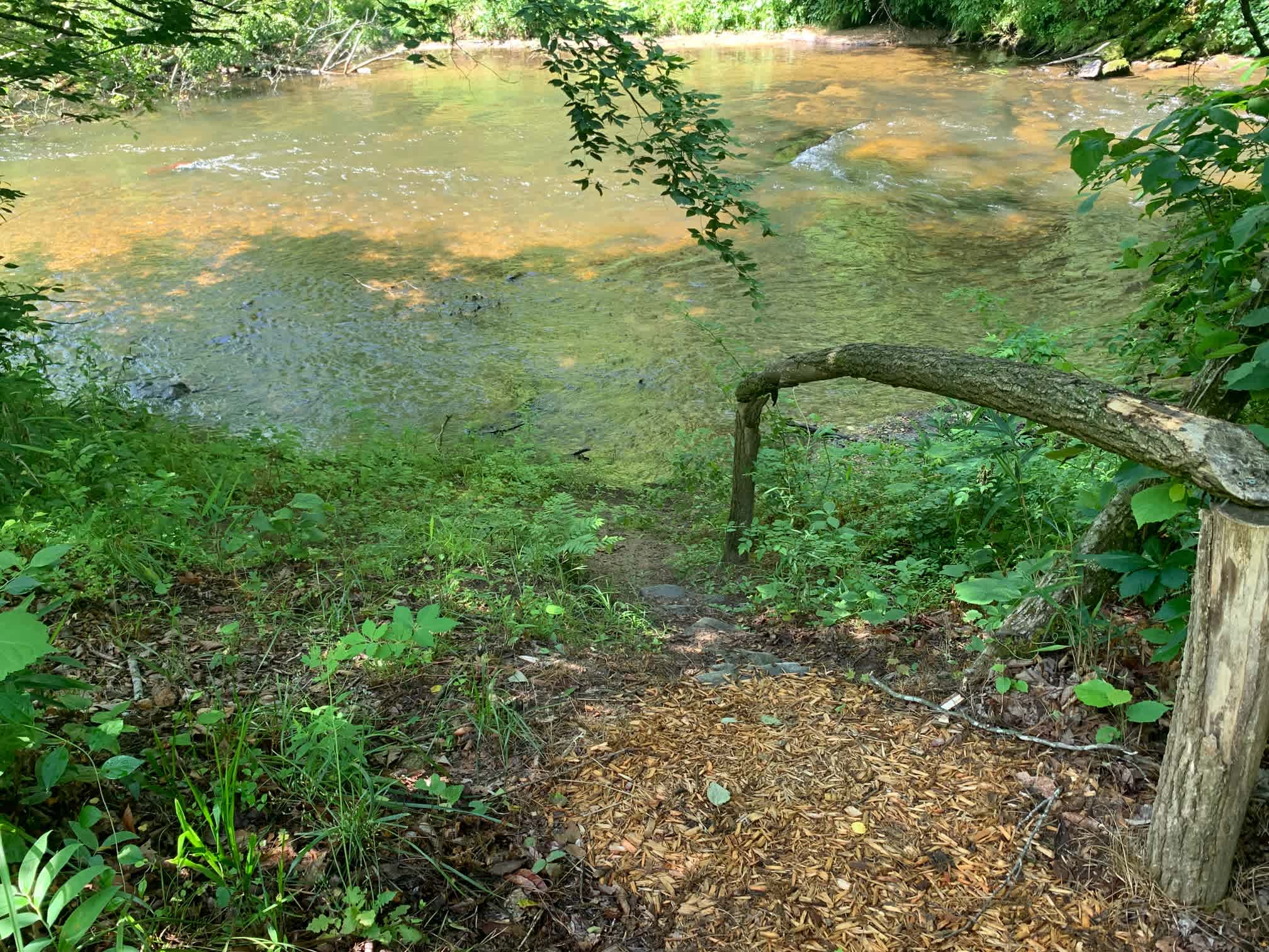 Site #1 - Entrance to the river
