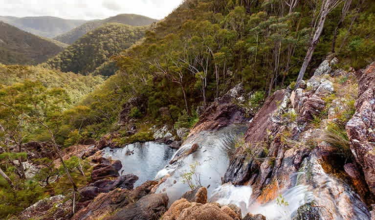 Gibraltar Range National Park