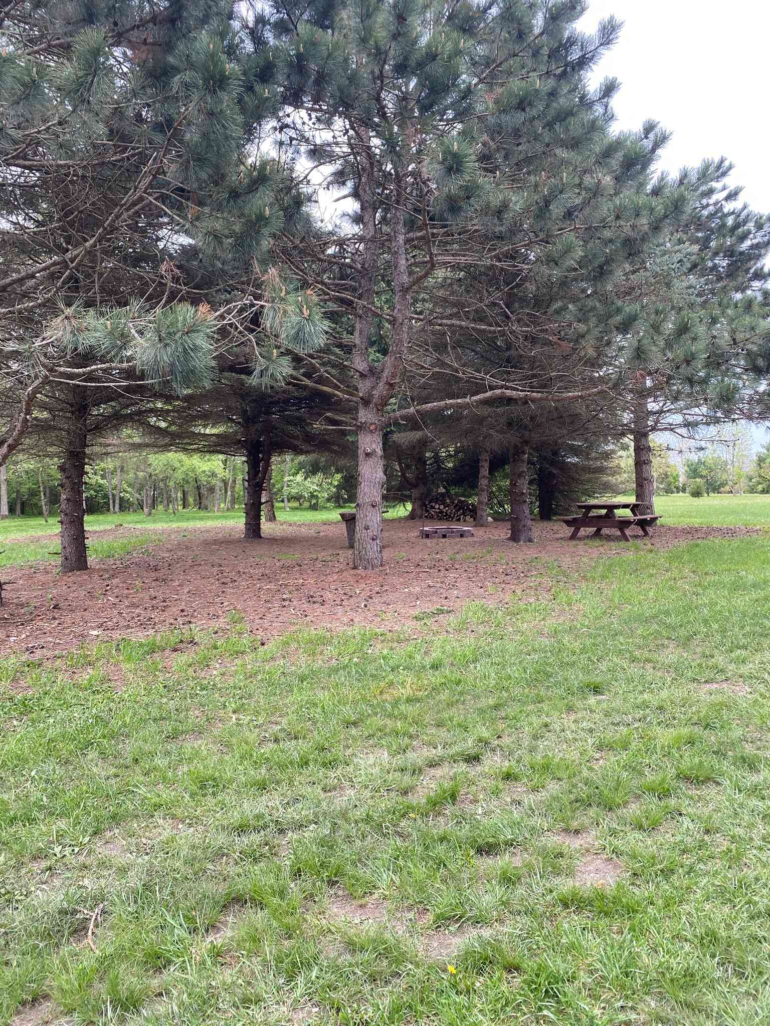 Gun Smoke Ranch