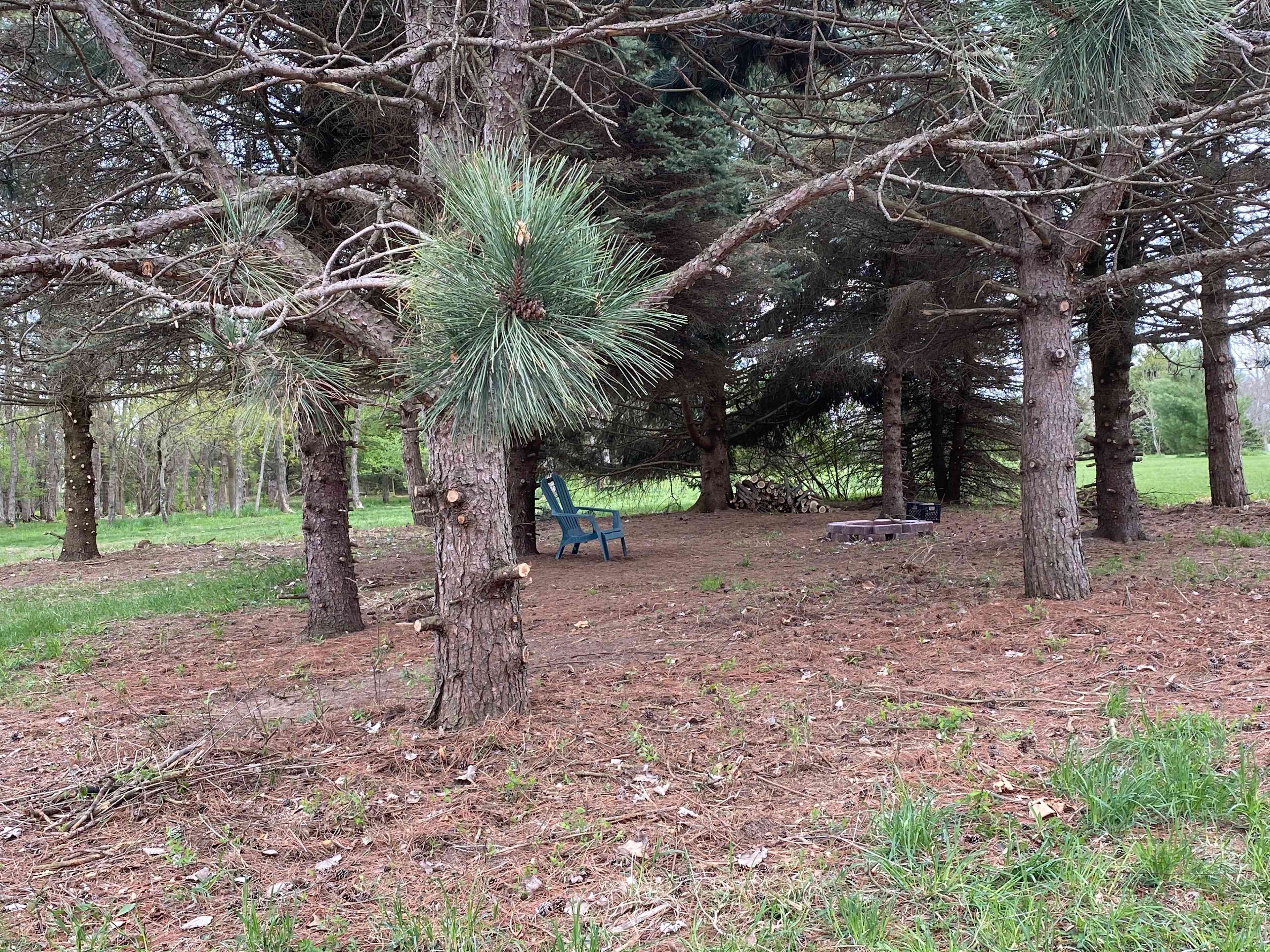 Gun Smoke Ranch