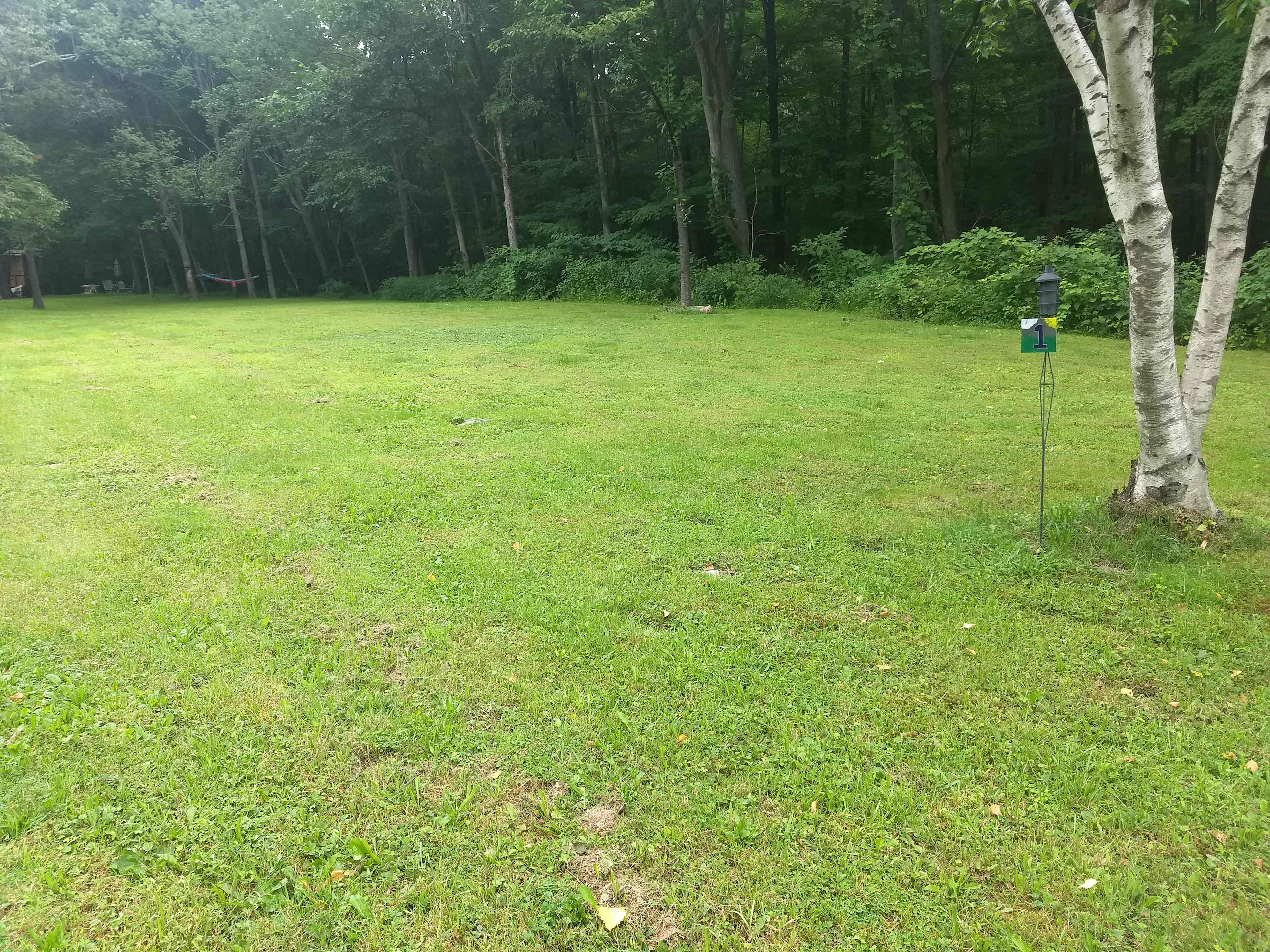 site 1 is large and mostly level. it can fit RV's and campers up to 30 feet