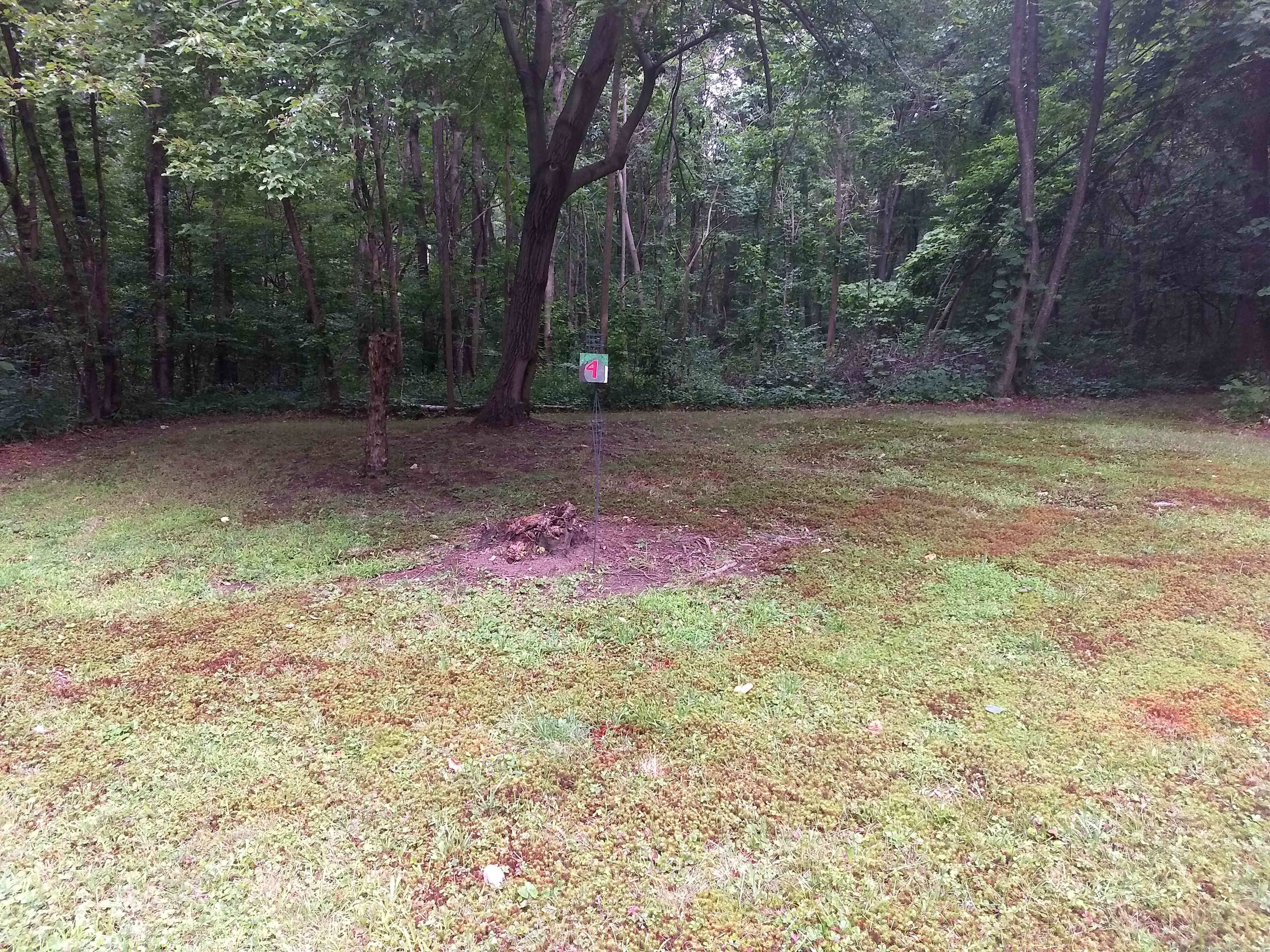 site 4 is close to the road and right across from the common ground area. large enough for RV's, campers or tents