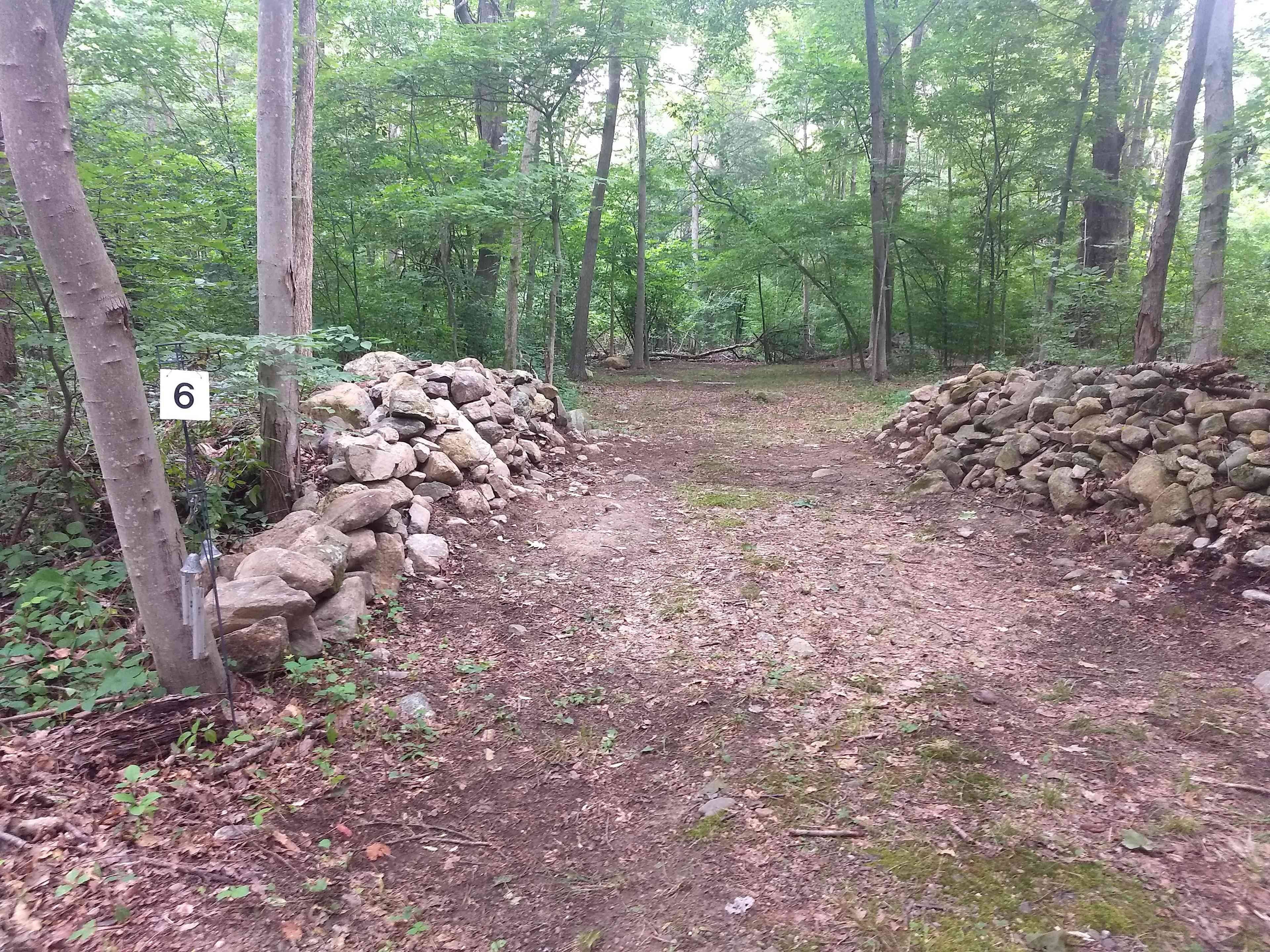 Site 6 is more secluded, still large, but only available for tents at this time