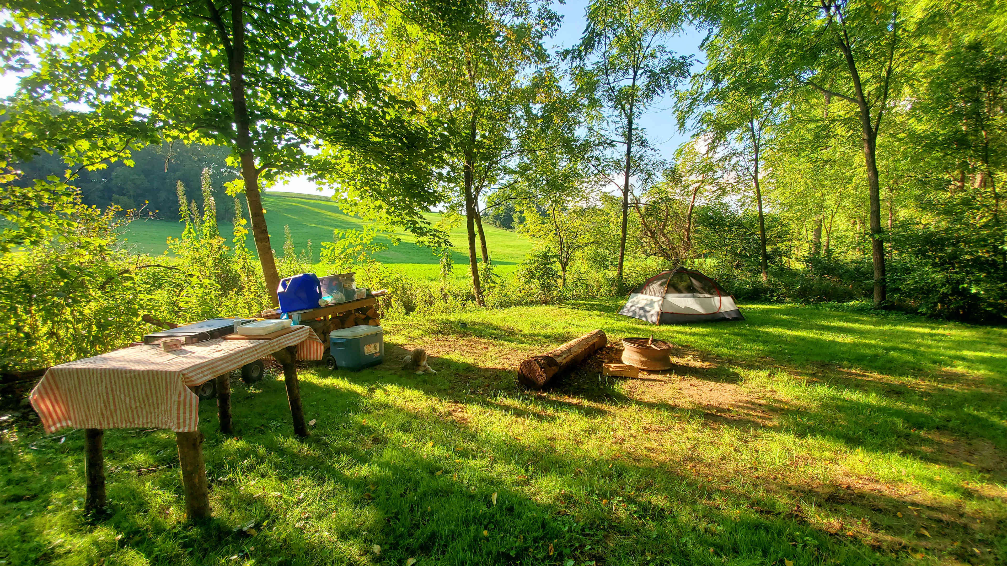 Pleasant Valley Farm Camp