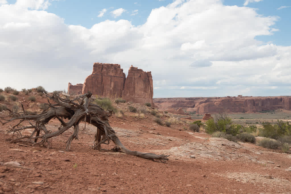 Lone Mesa State Park