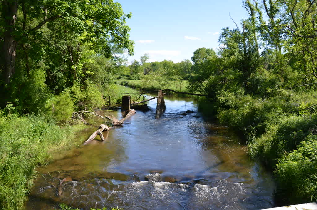 Goosepond Mountain State Park