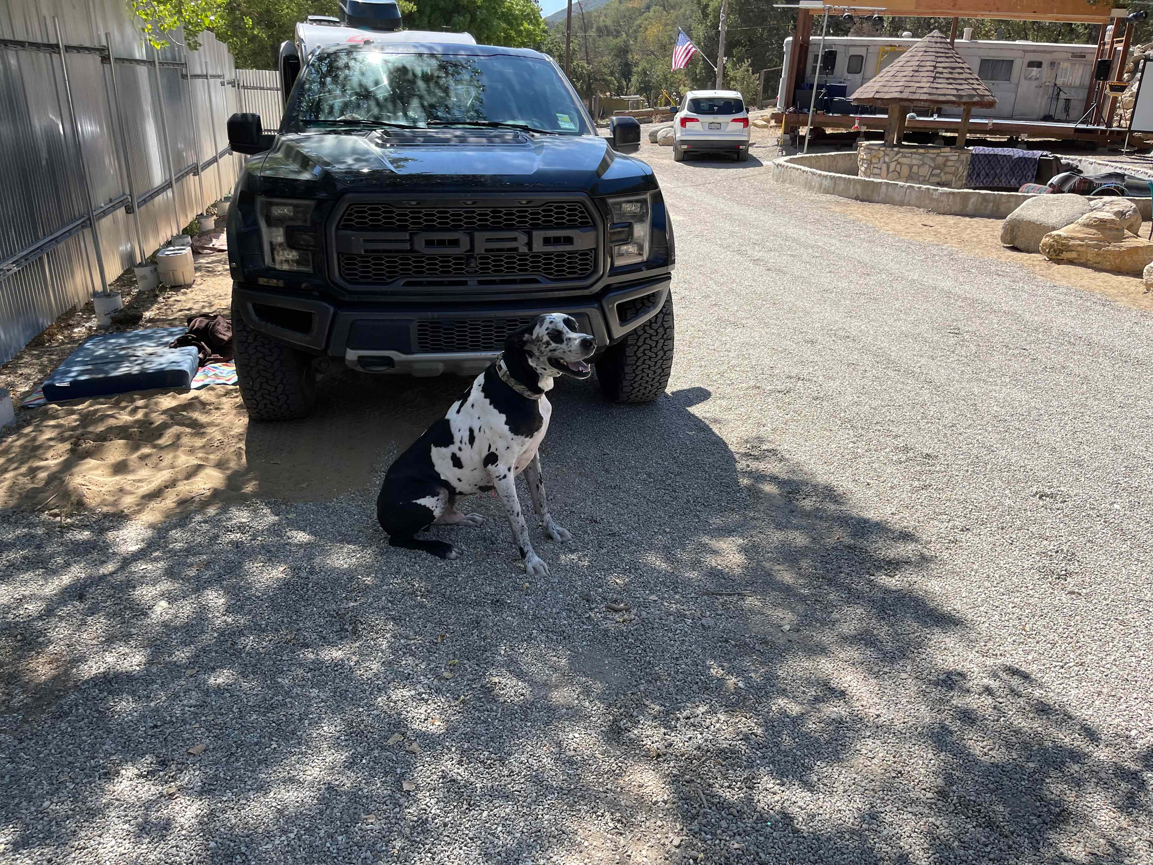 Big Dog friendly! 