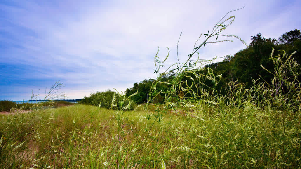 Point Farms Provincial Park