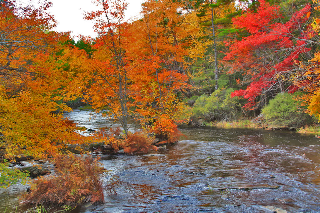 Camerons Brook Provincial Park