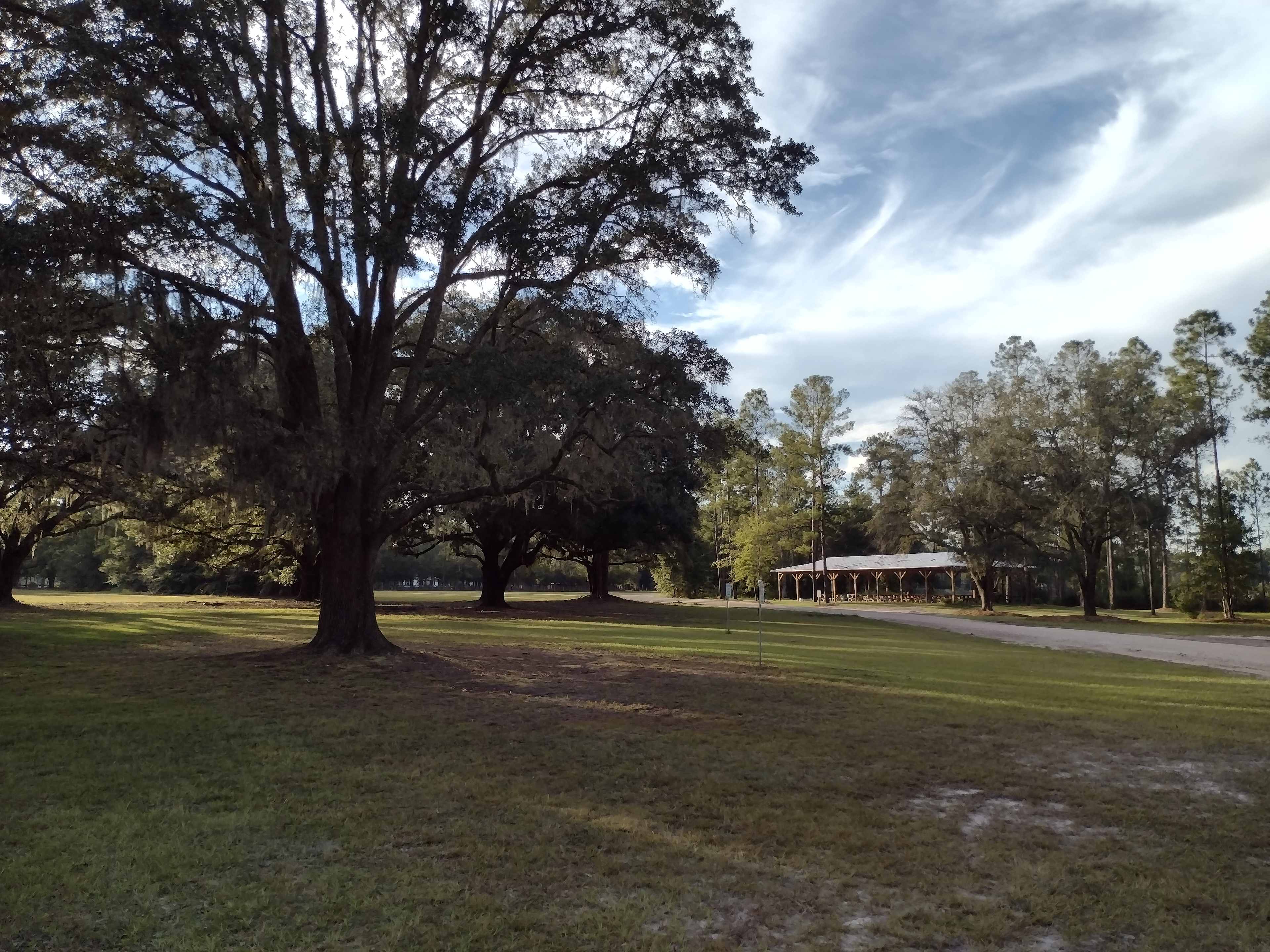 Eden Gardens Jax