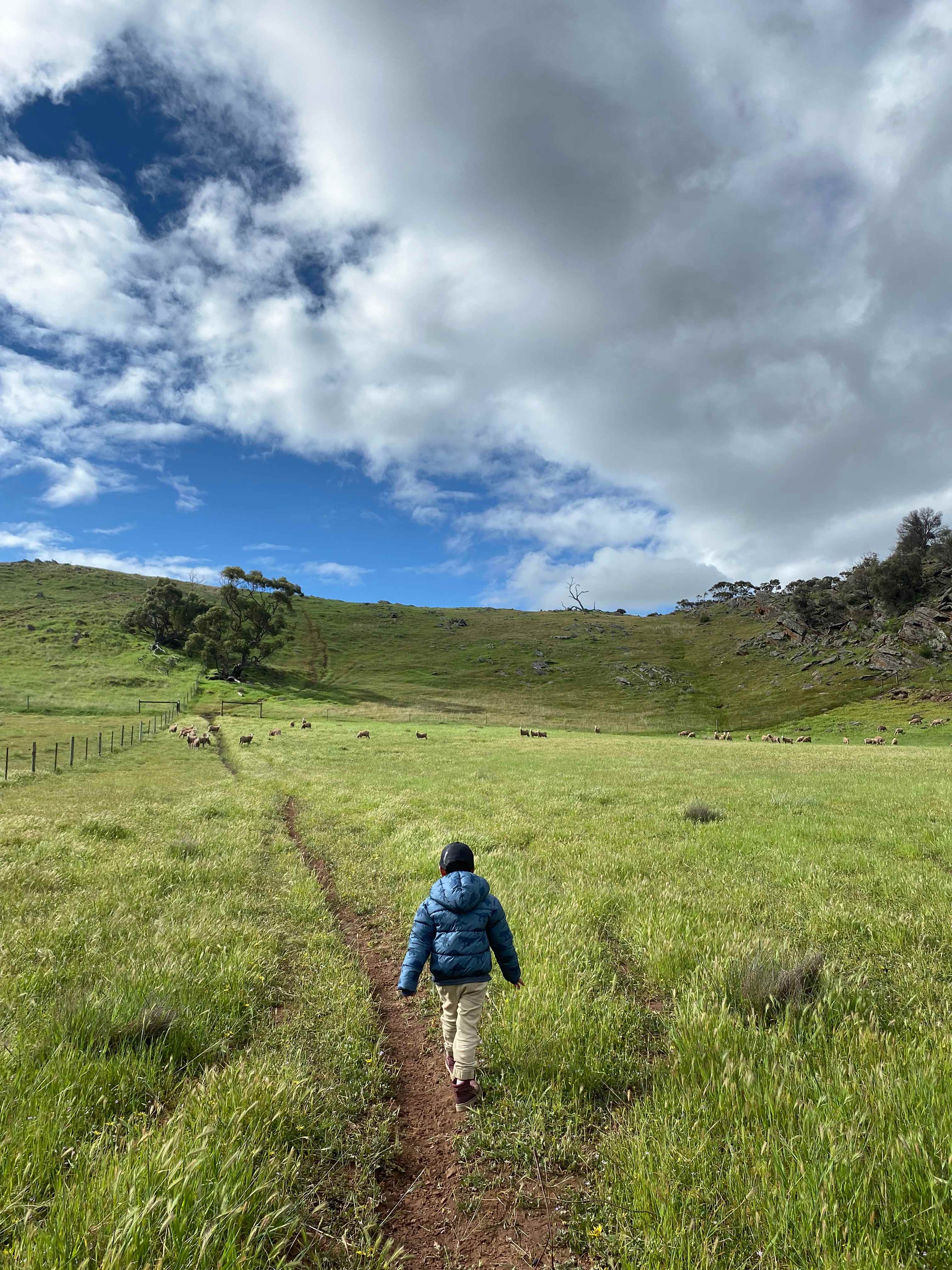 Gum Gully Heights, Rockleigh SA