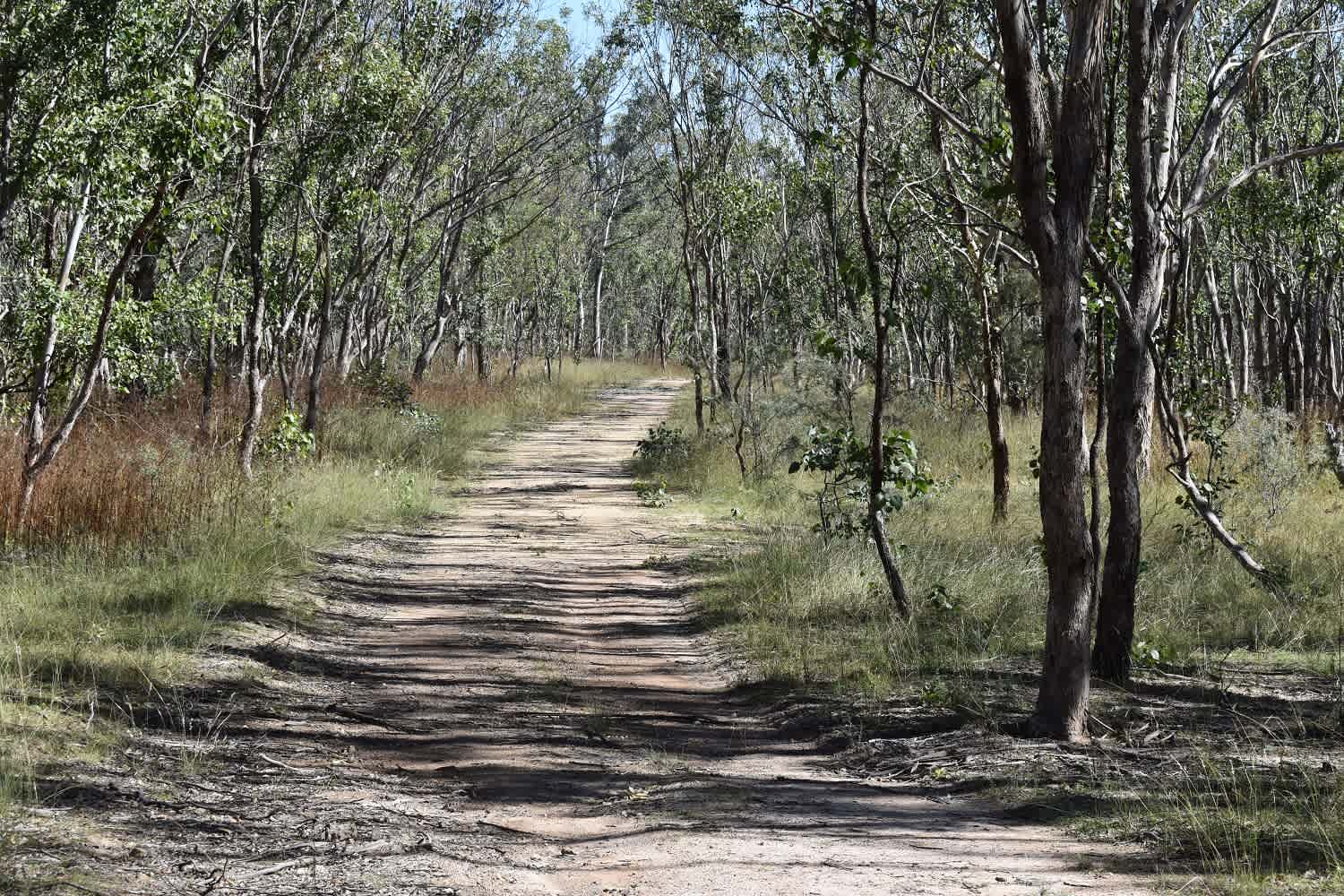 Currys Gap State Conservation Area