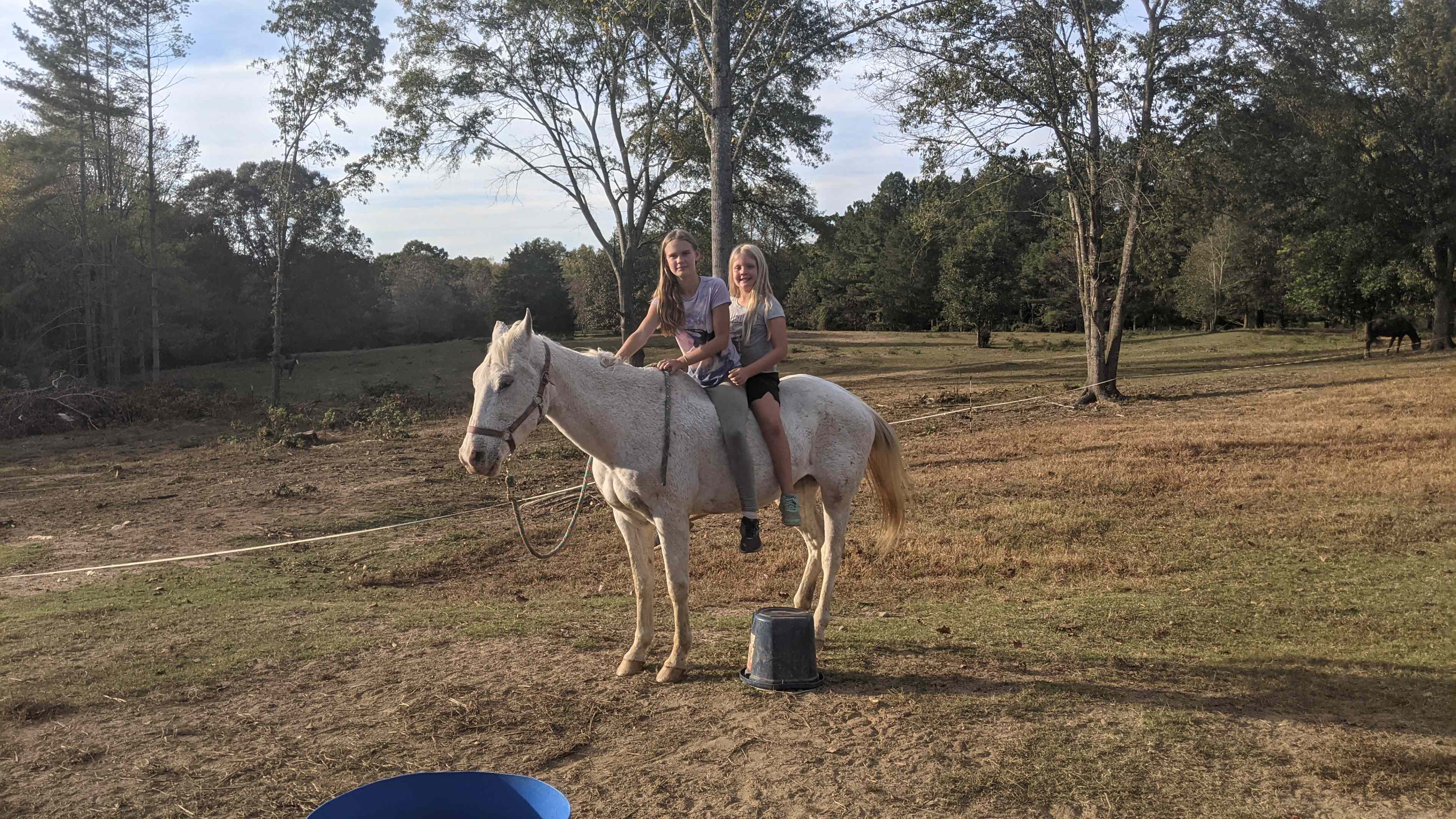 Oak Creek Horse Farm