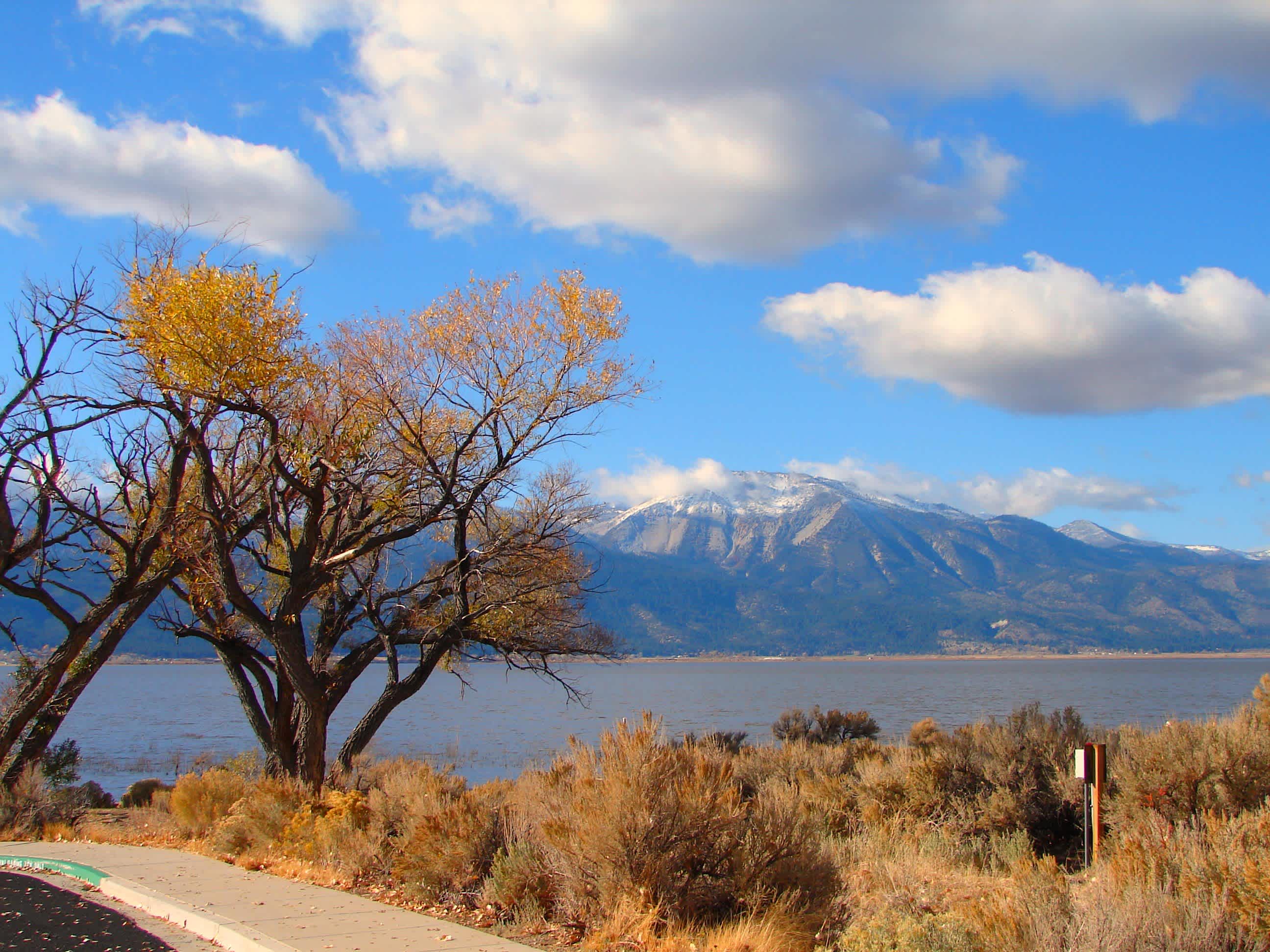 Washoe Meadows State Park