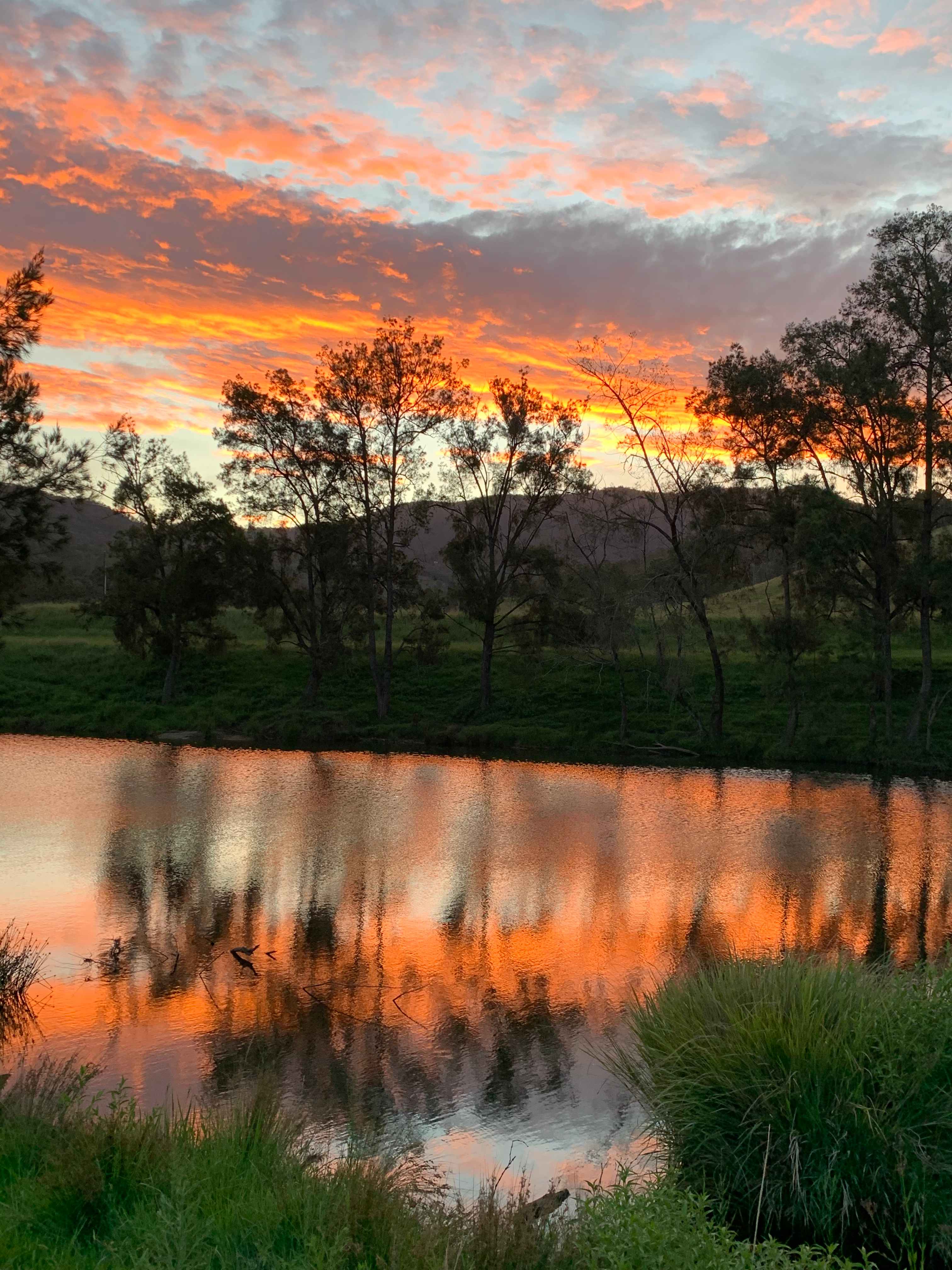 Enjoying the sunset 