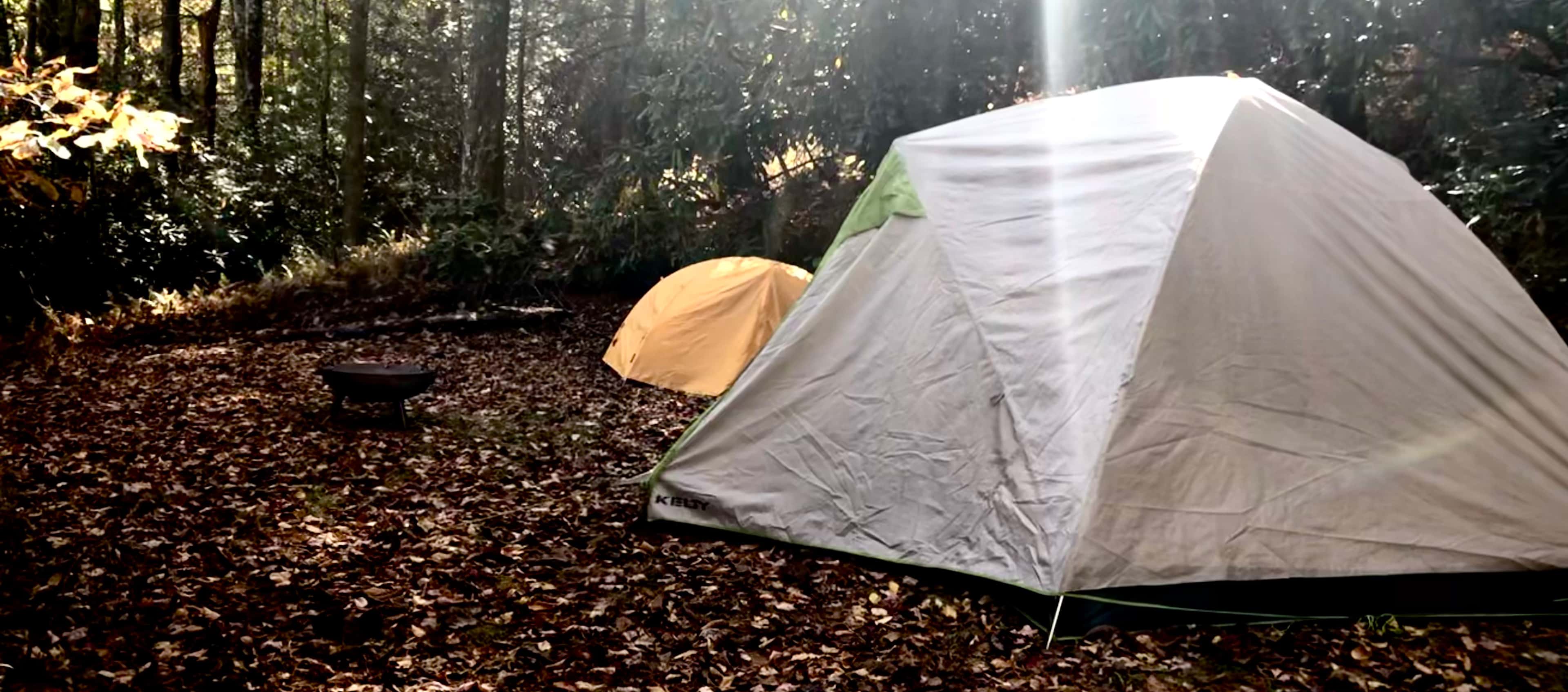 Site #1  Dropping In
- This is our most spacious site (~ 32'x20') 
with plenty of room for more than one car and multiple tents.  