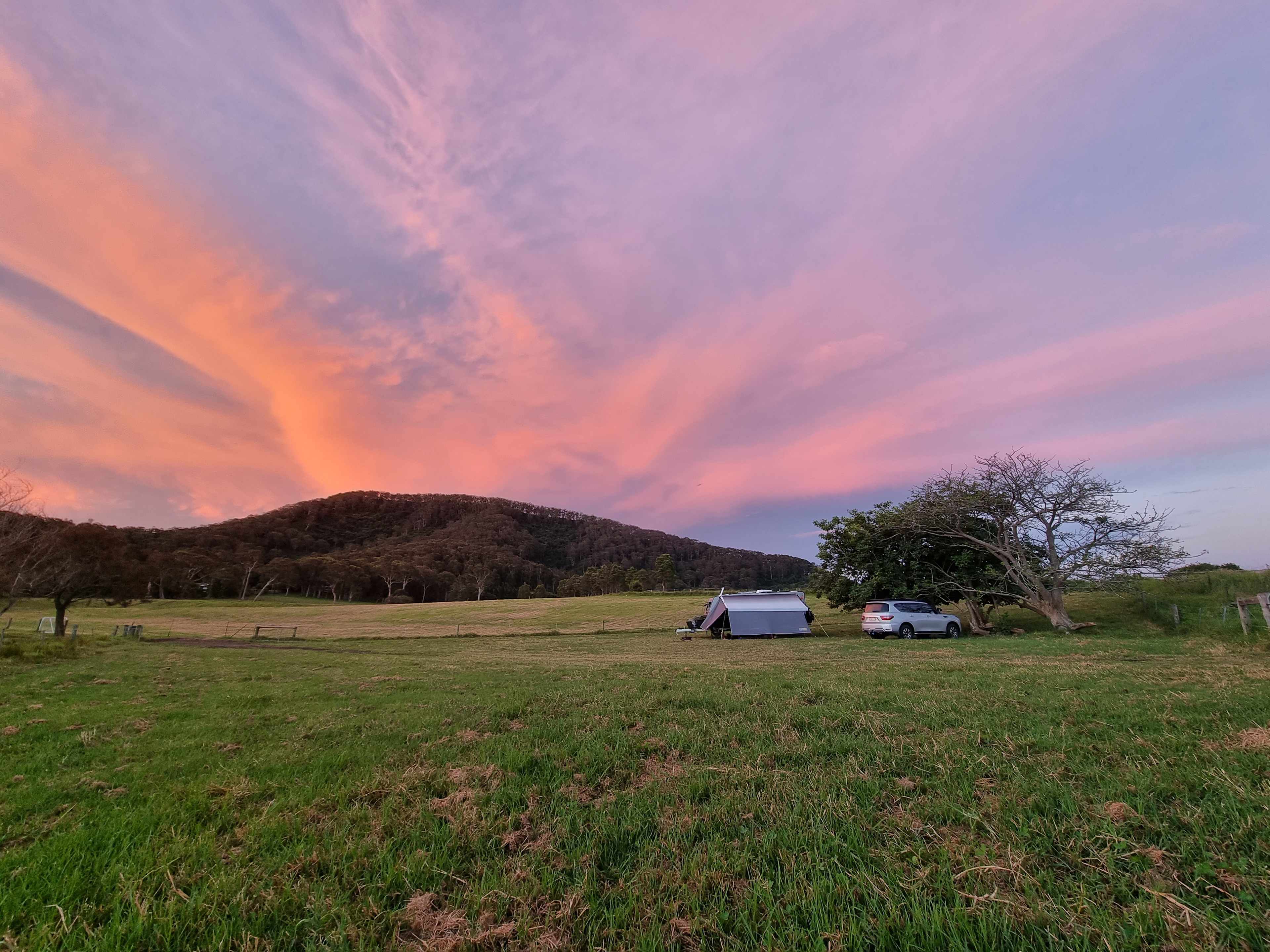 Misty Mountain Farm