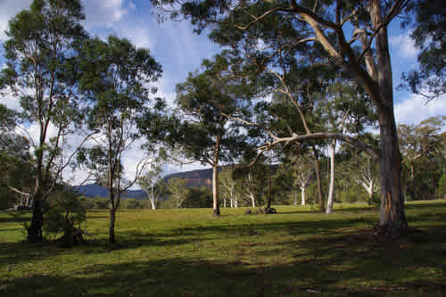 Corner Paddock 