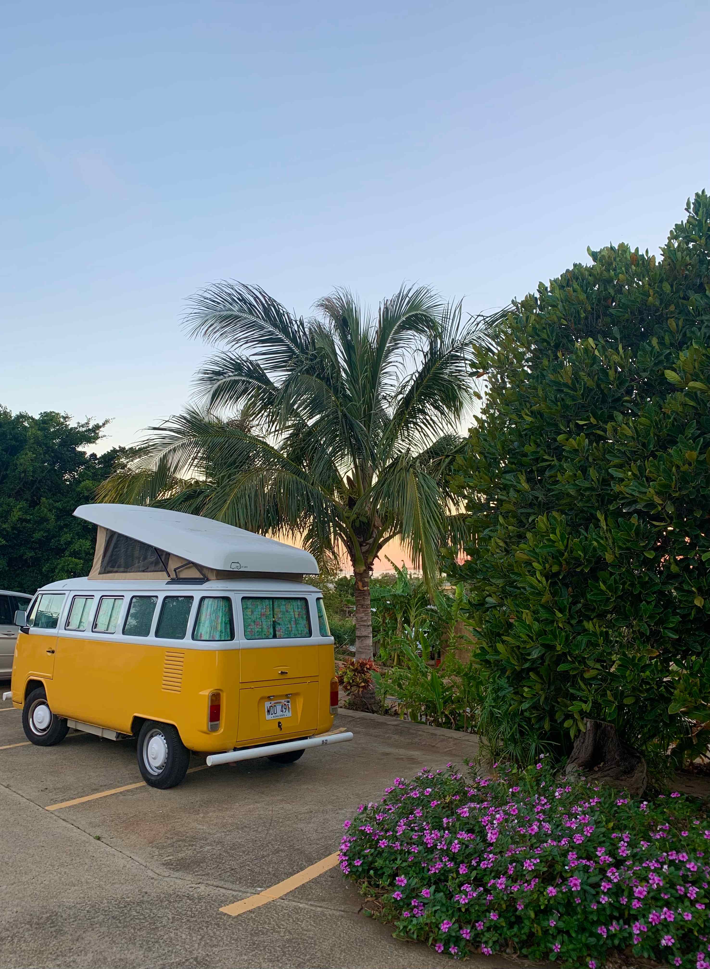 Sun Farm Hawaii @ Koko Head