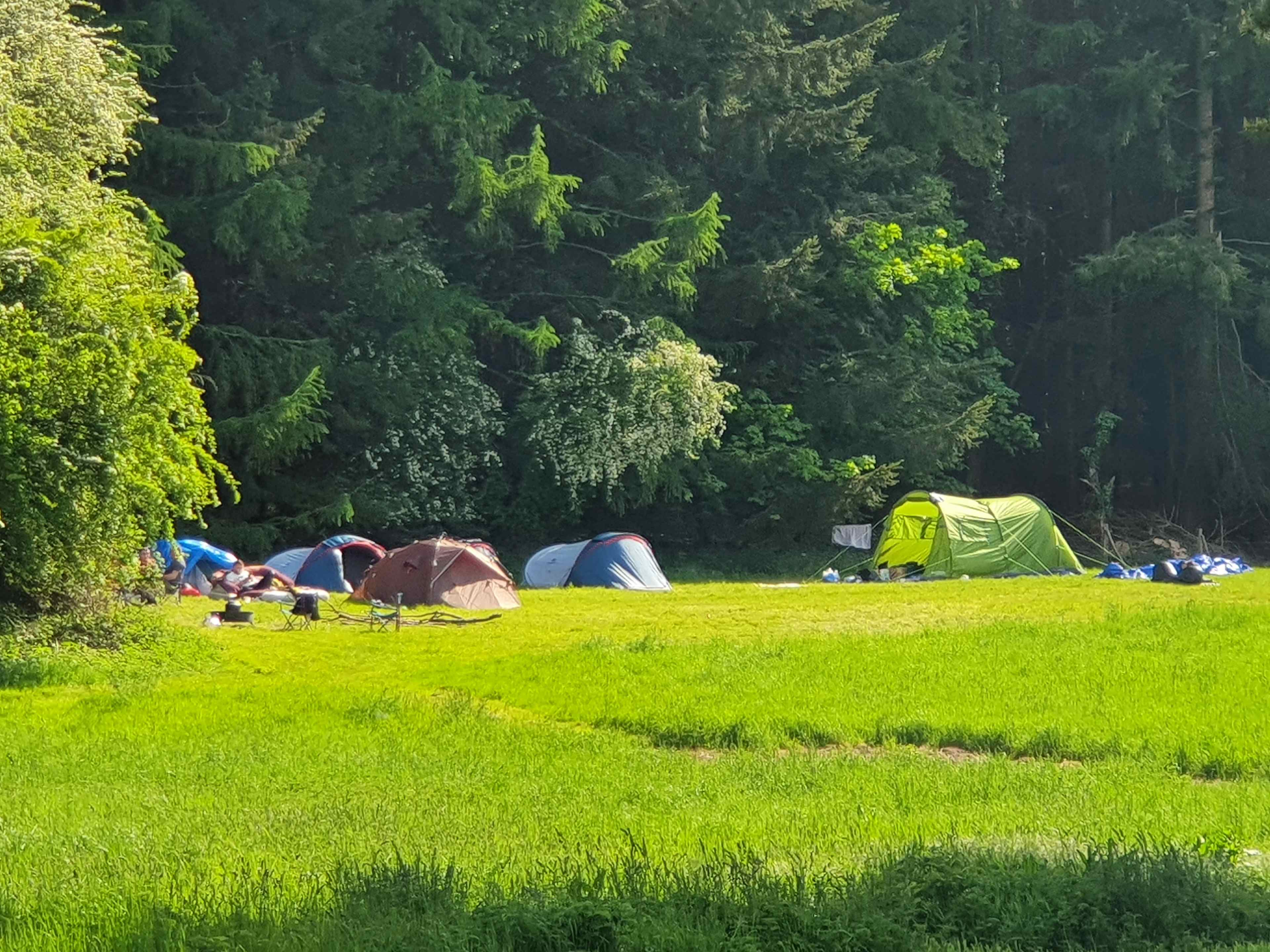 Southover Woods and Camping