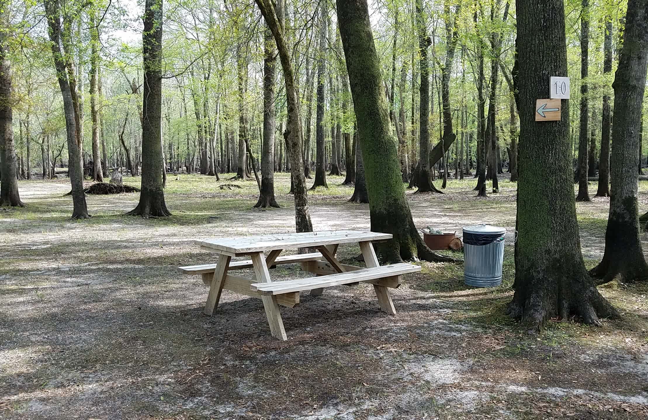Black River Camping Ventures