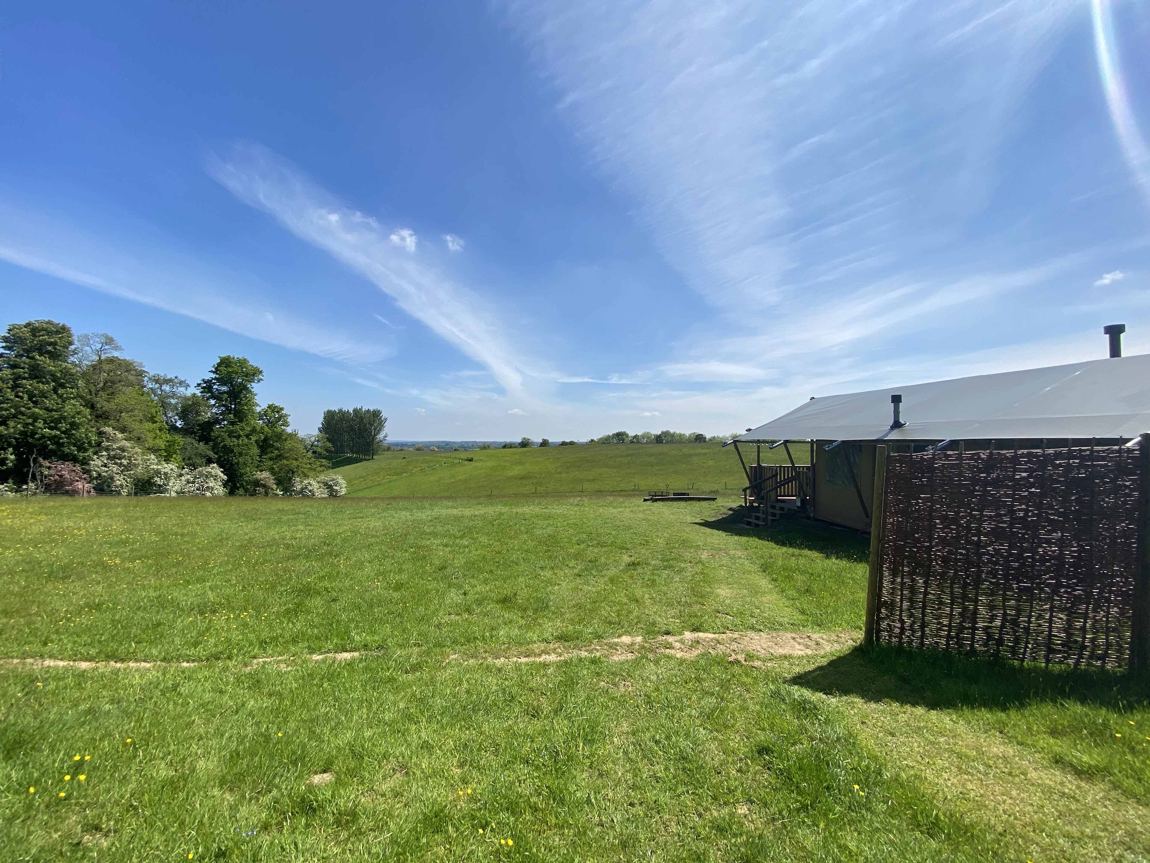 The view from your safari tent at Bozedown Boltholes in Oxfordshire.