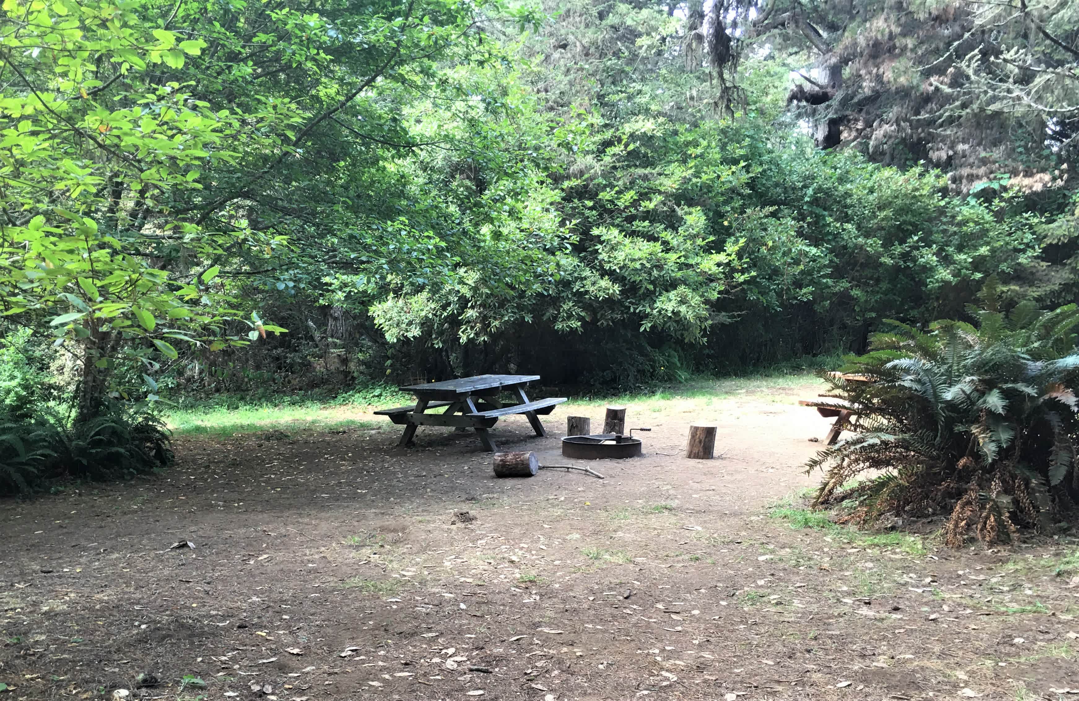 Jug Handle Creek Farm