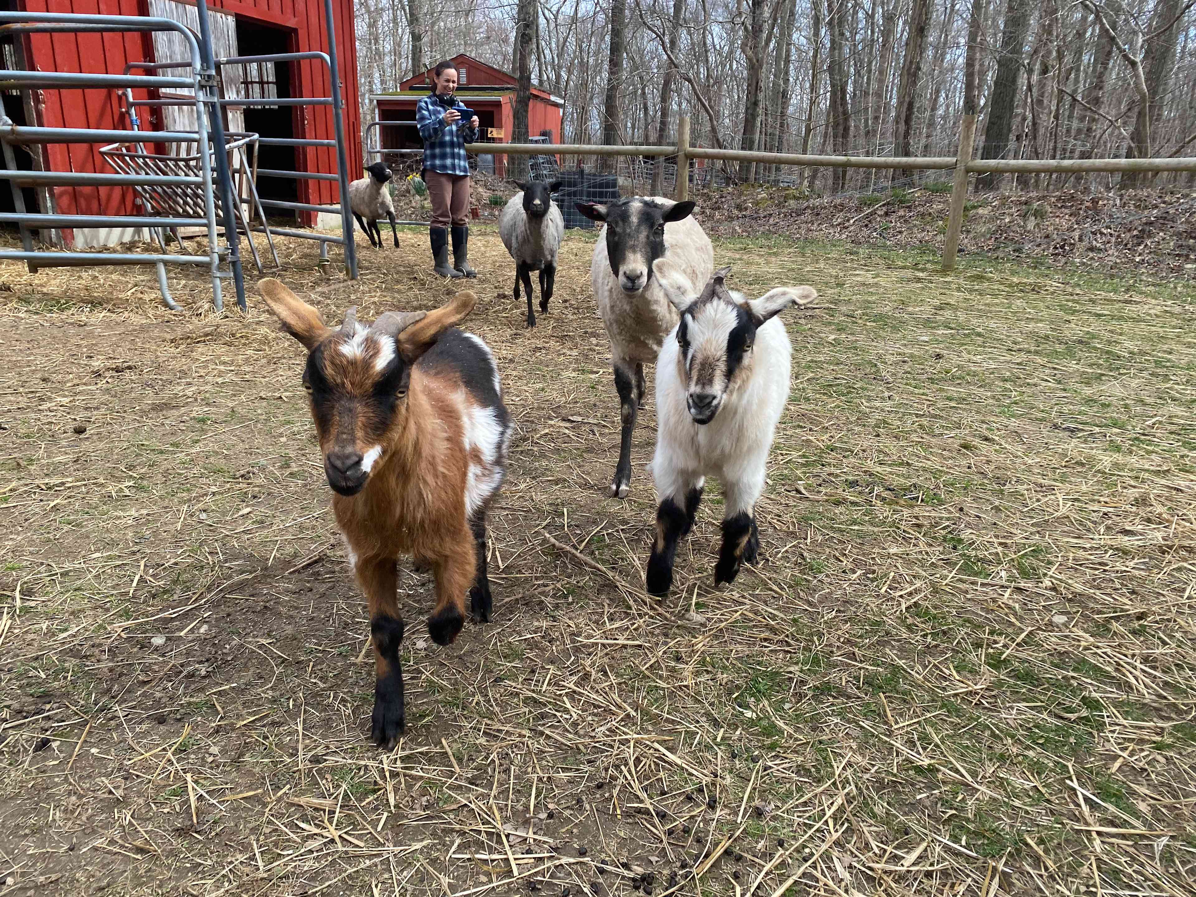 Blackburn Farm