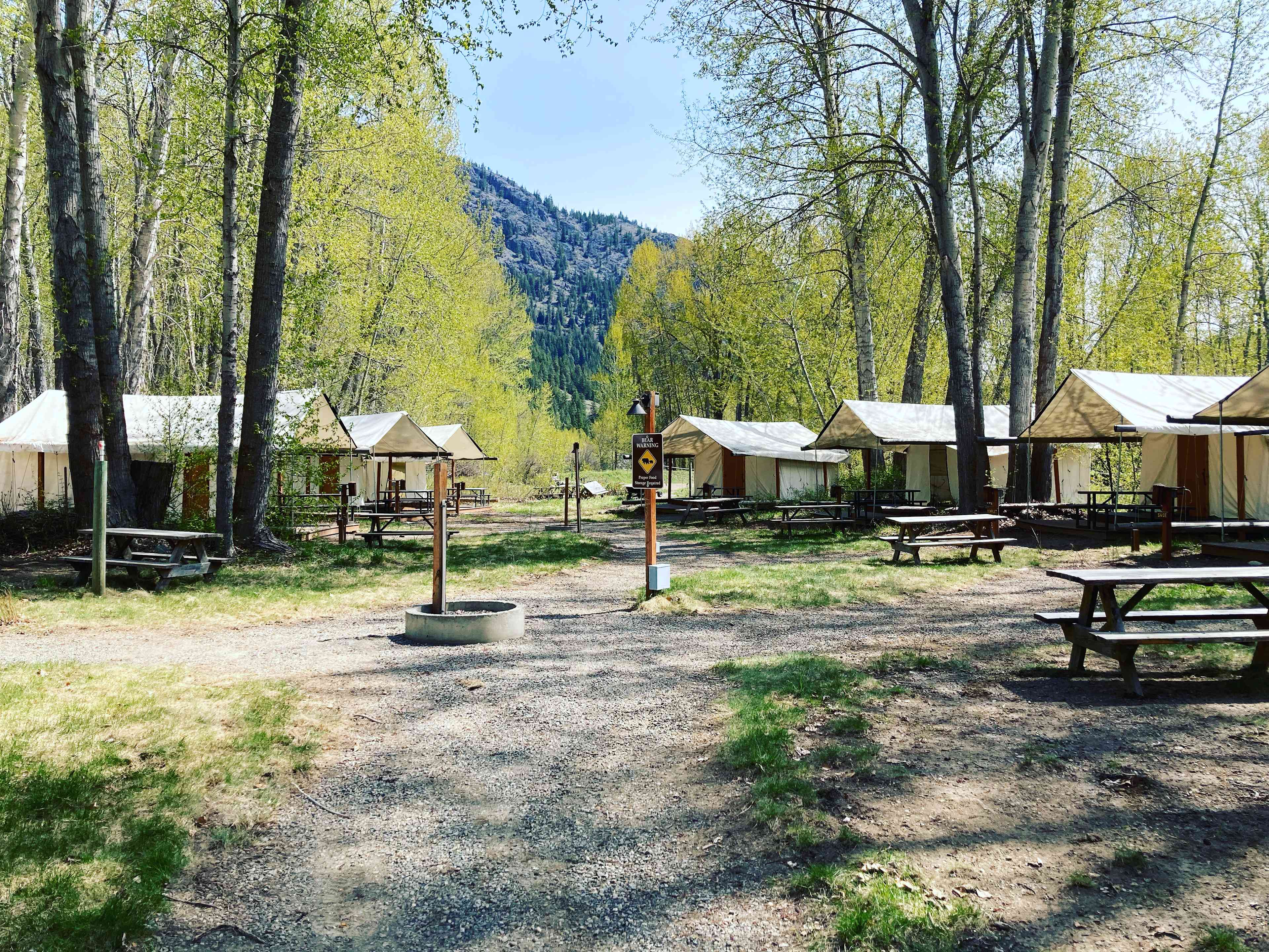 15 canvass tents 