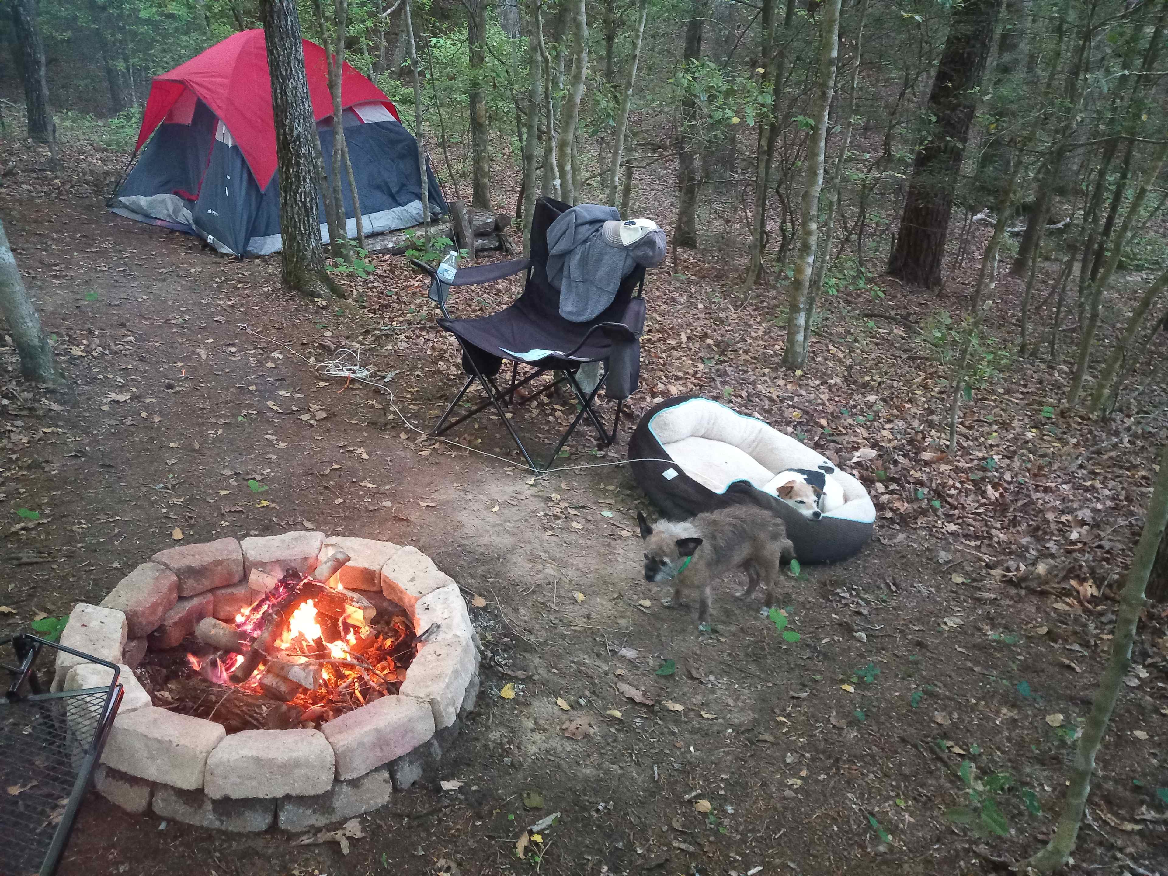 Primitive site 12
