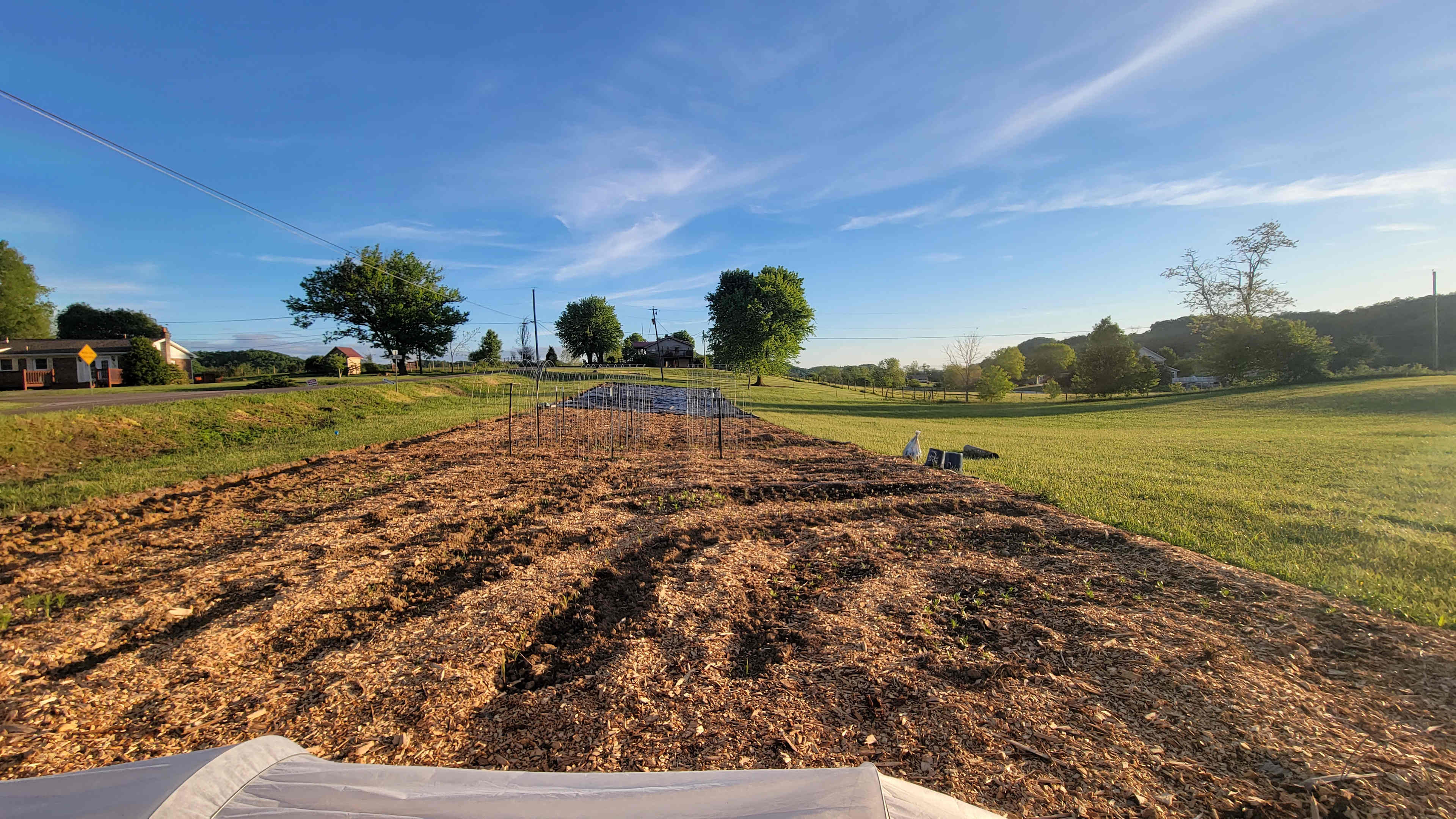 Pick-your-own garden.