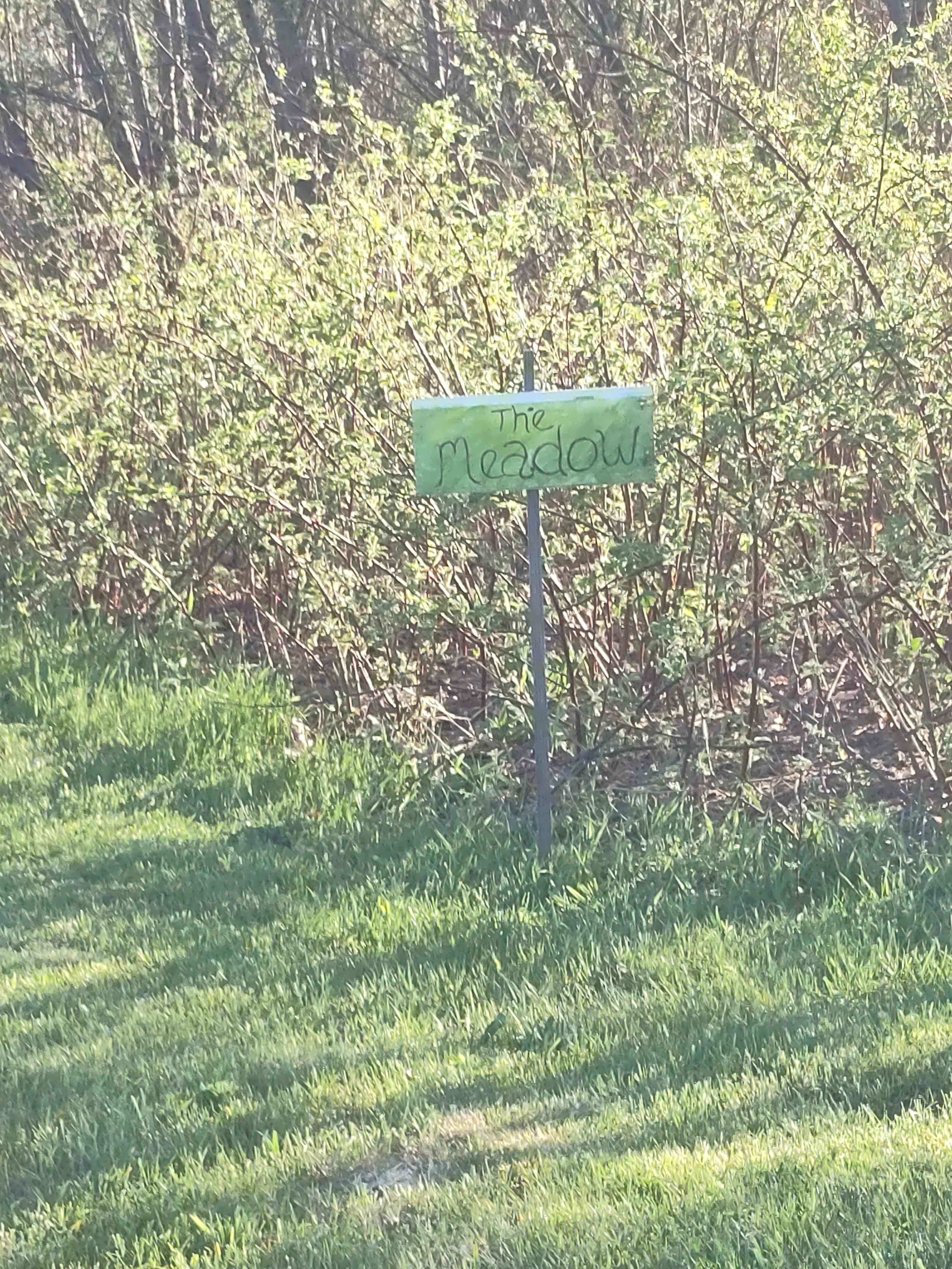 Campers Welcome to The Wolf Swamp.