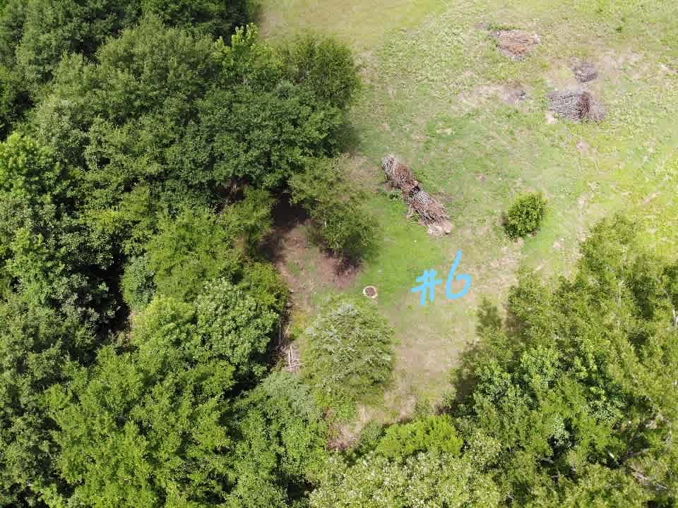 Sandy Ridge Camping