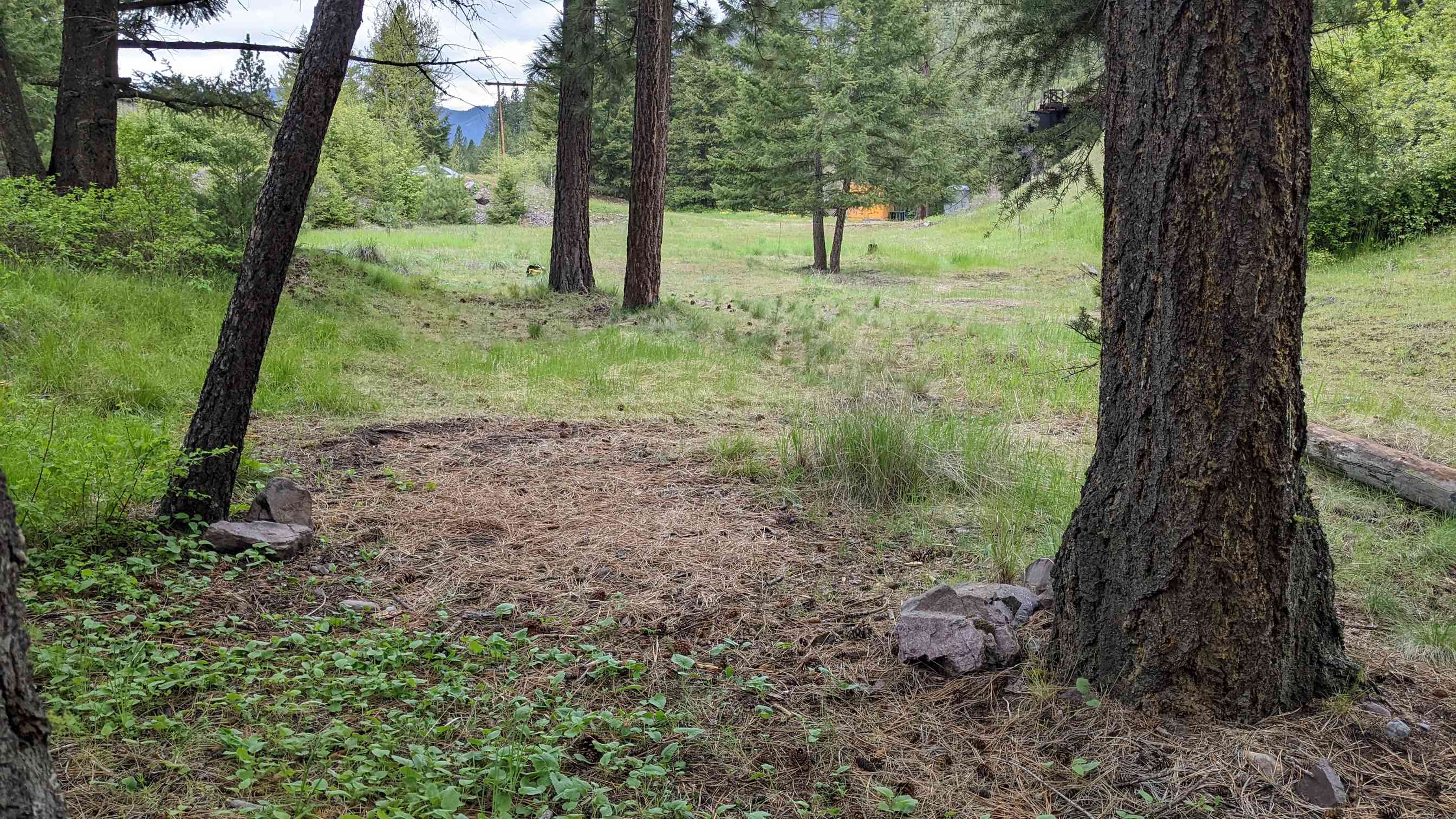 View from camp back towards entrance