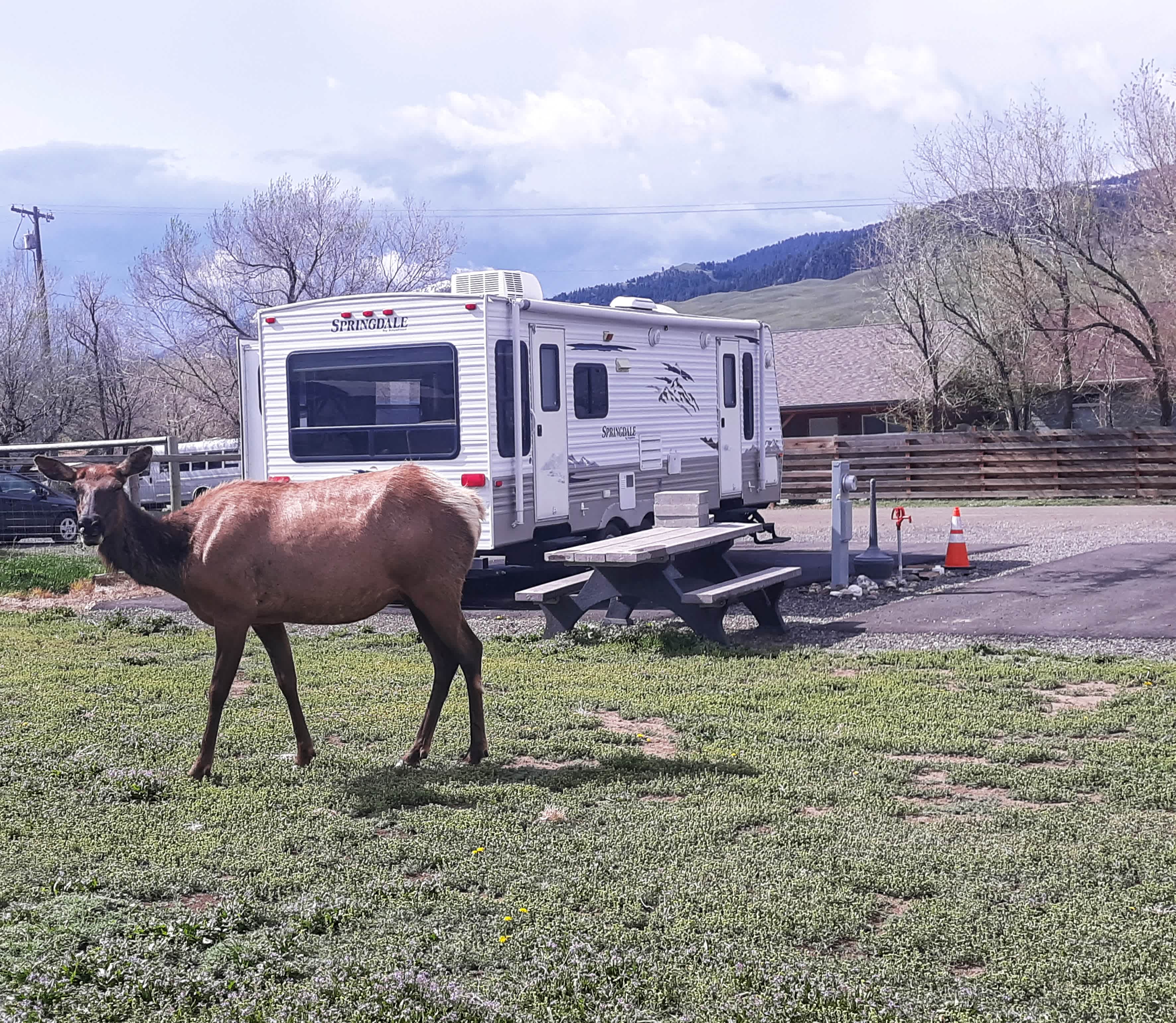 Sportsman's Retreat RV Sites