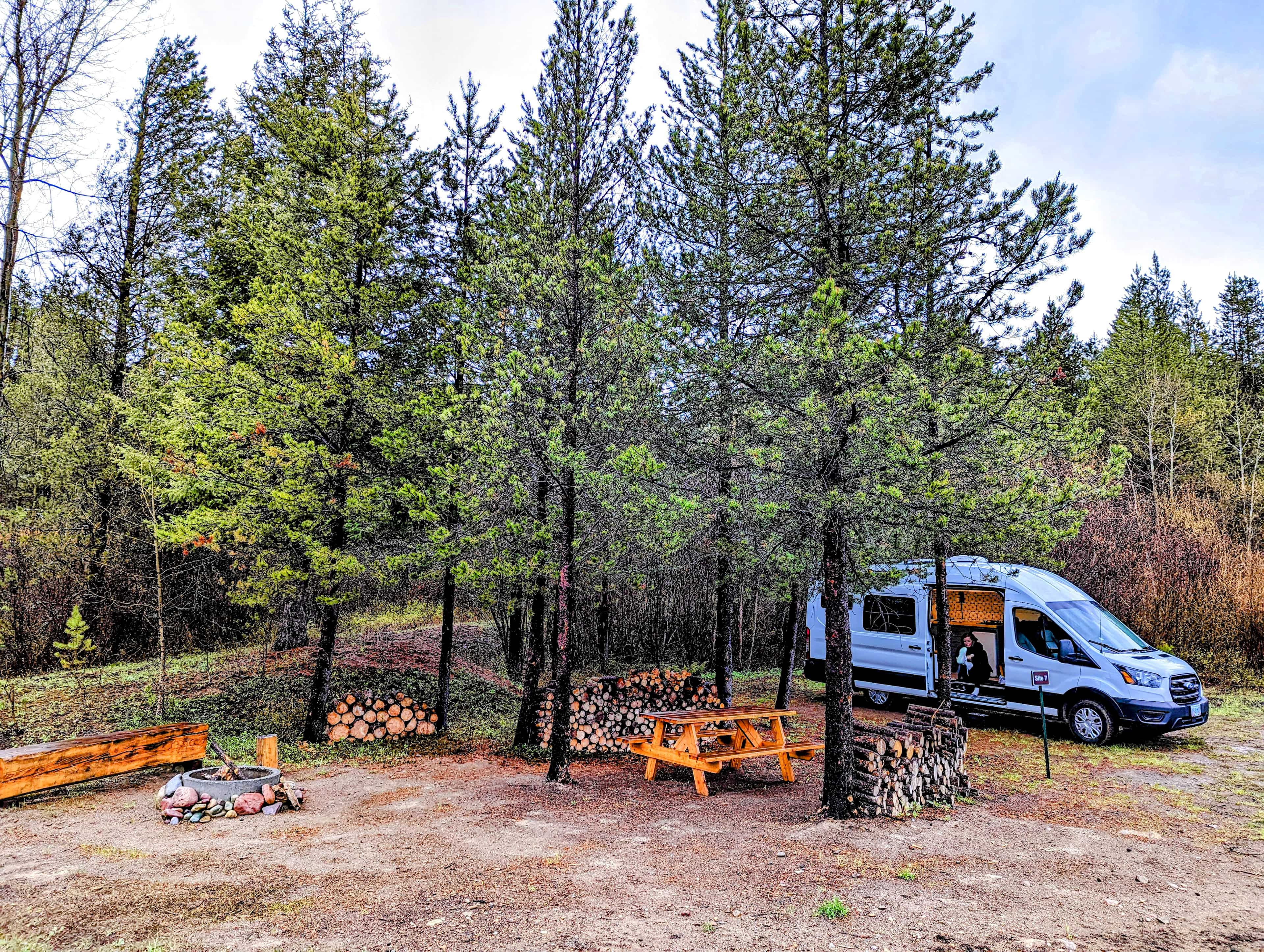 CROWNS-DARK GREEN 100 BOX - Wildhorse Distributing