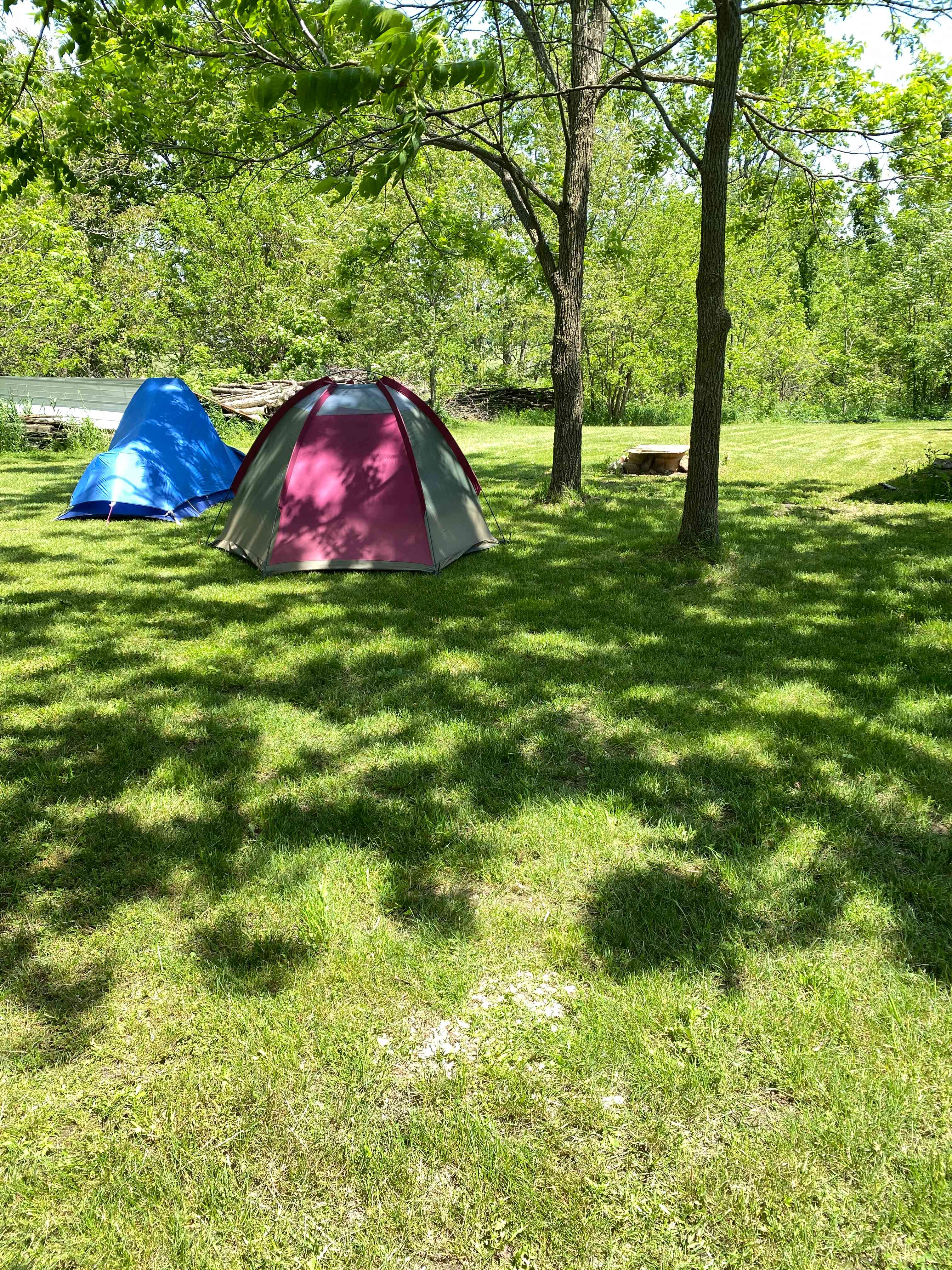 Carlandia CannaCamp