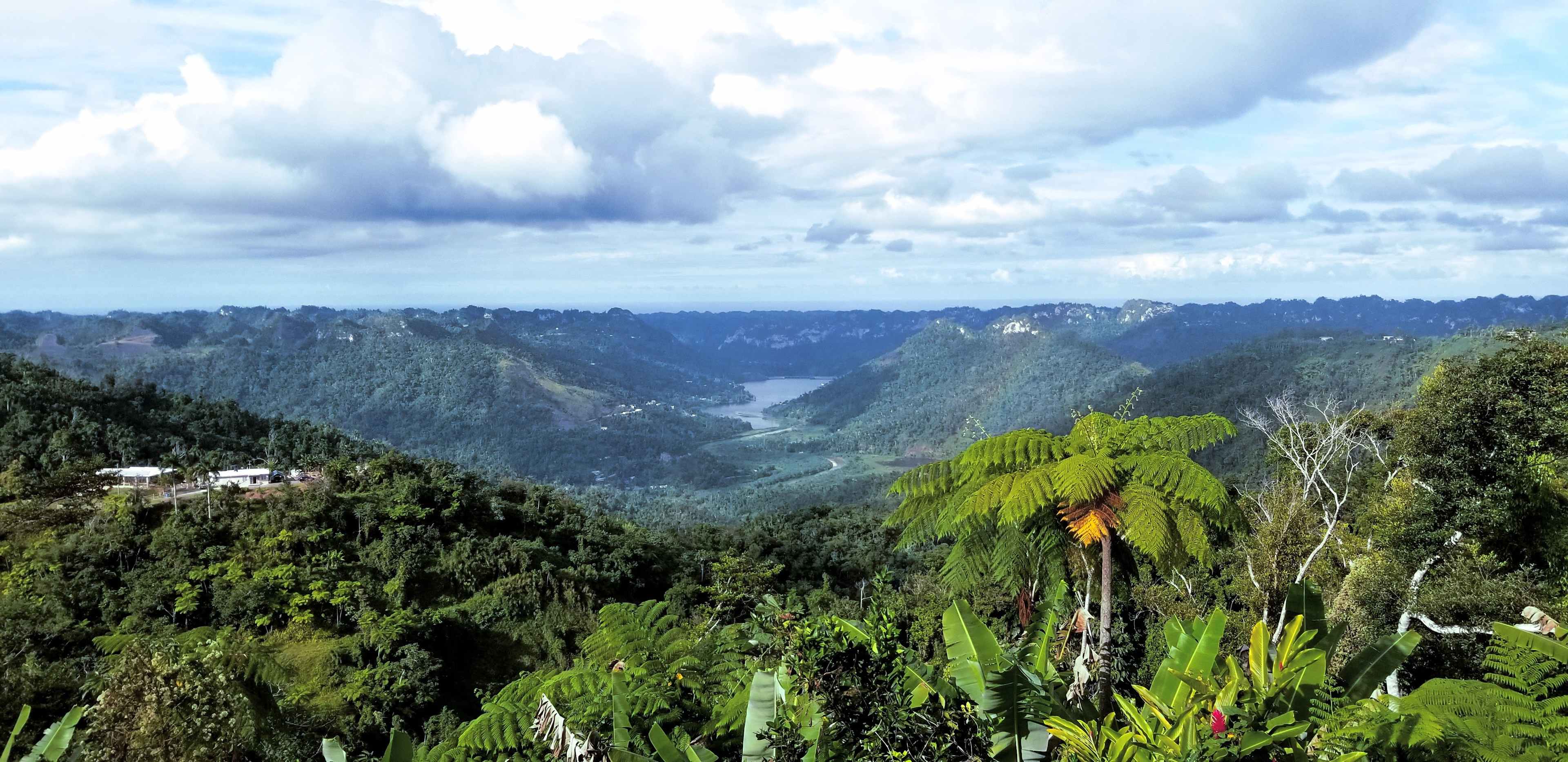 Rainforest Campground & Glamping