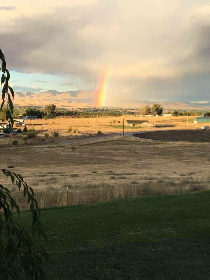 Black Cow Ranch